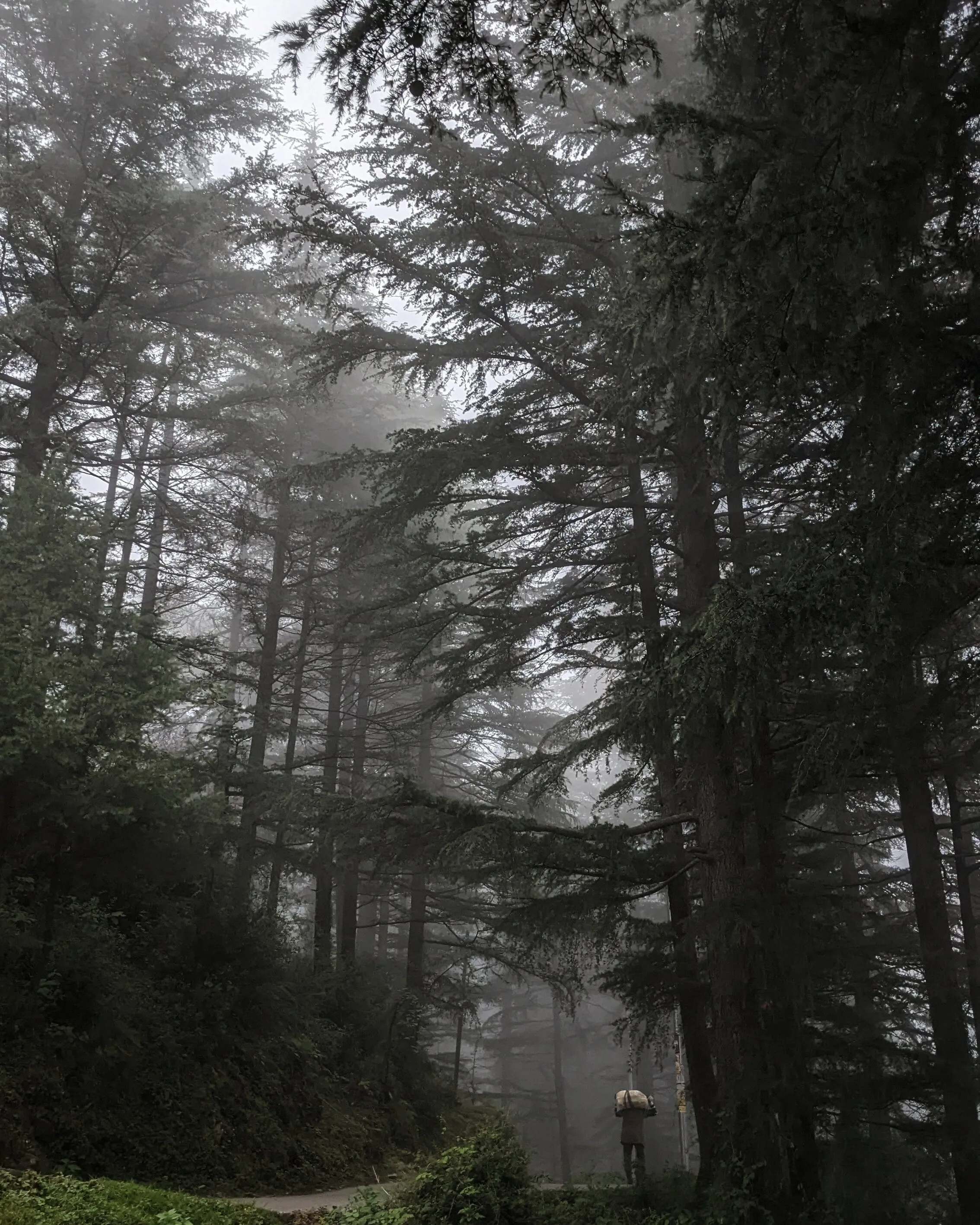 Mist and sweat