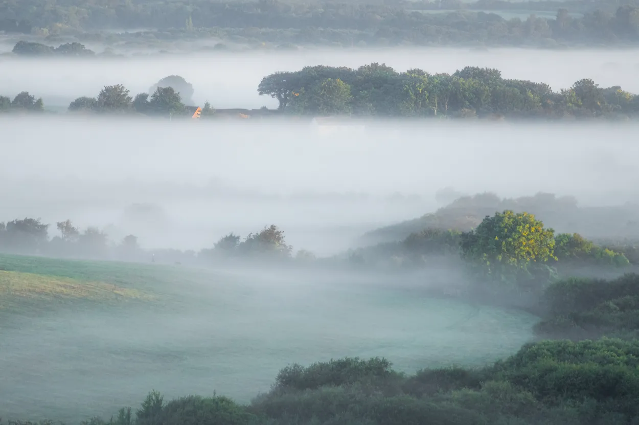 Entry 27852753
