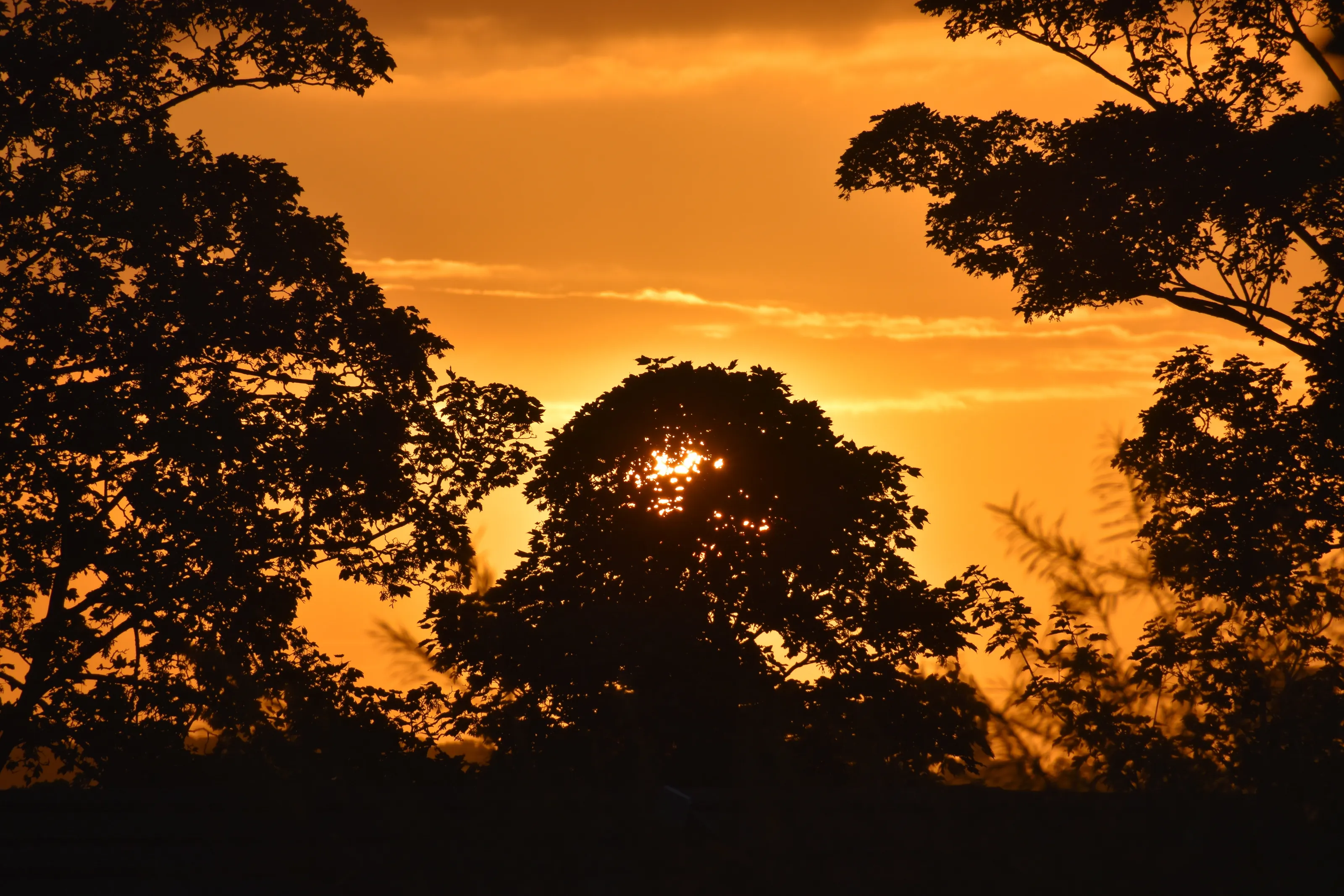 Golden sunrise over Leeds