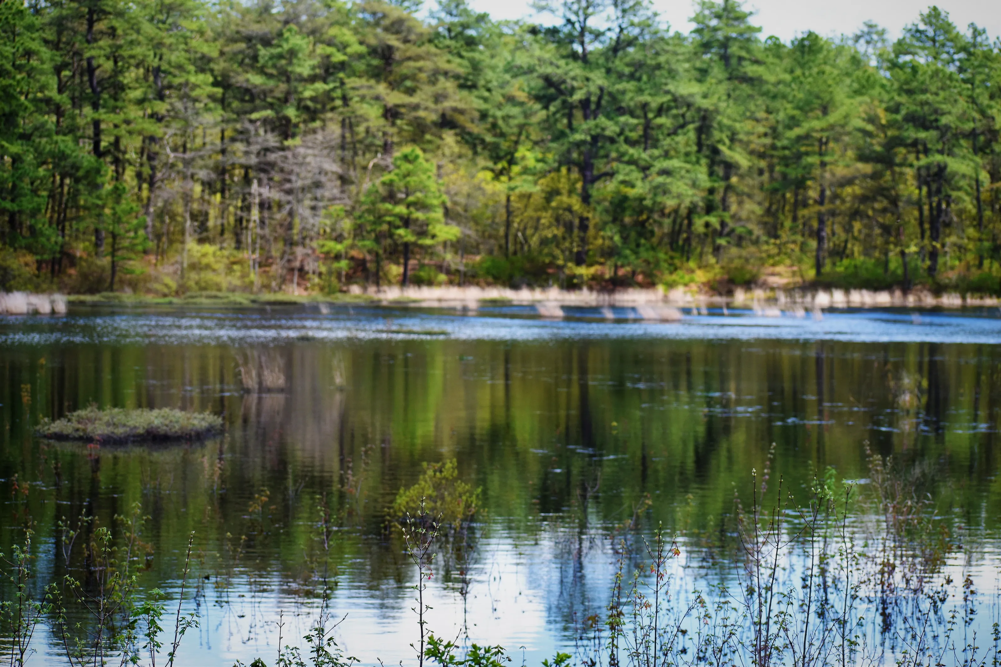 By the Lake