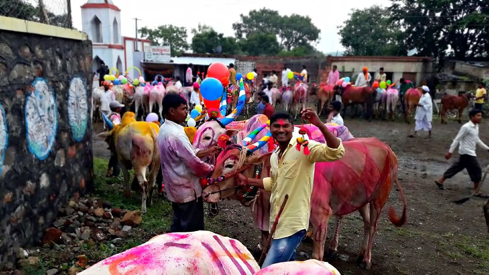 ANIMAL FESTIVAL INDIA