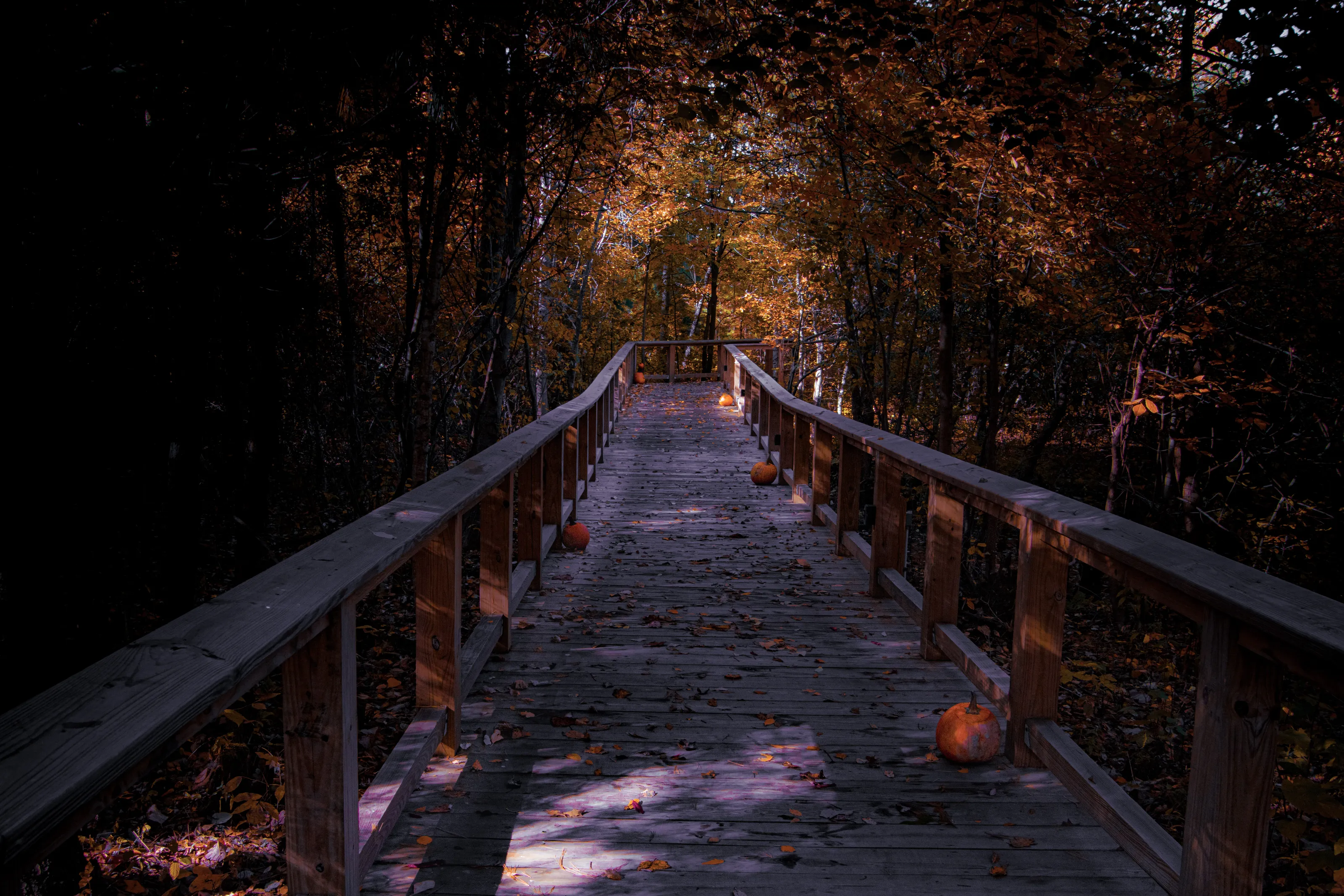 Dark Path