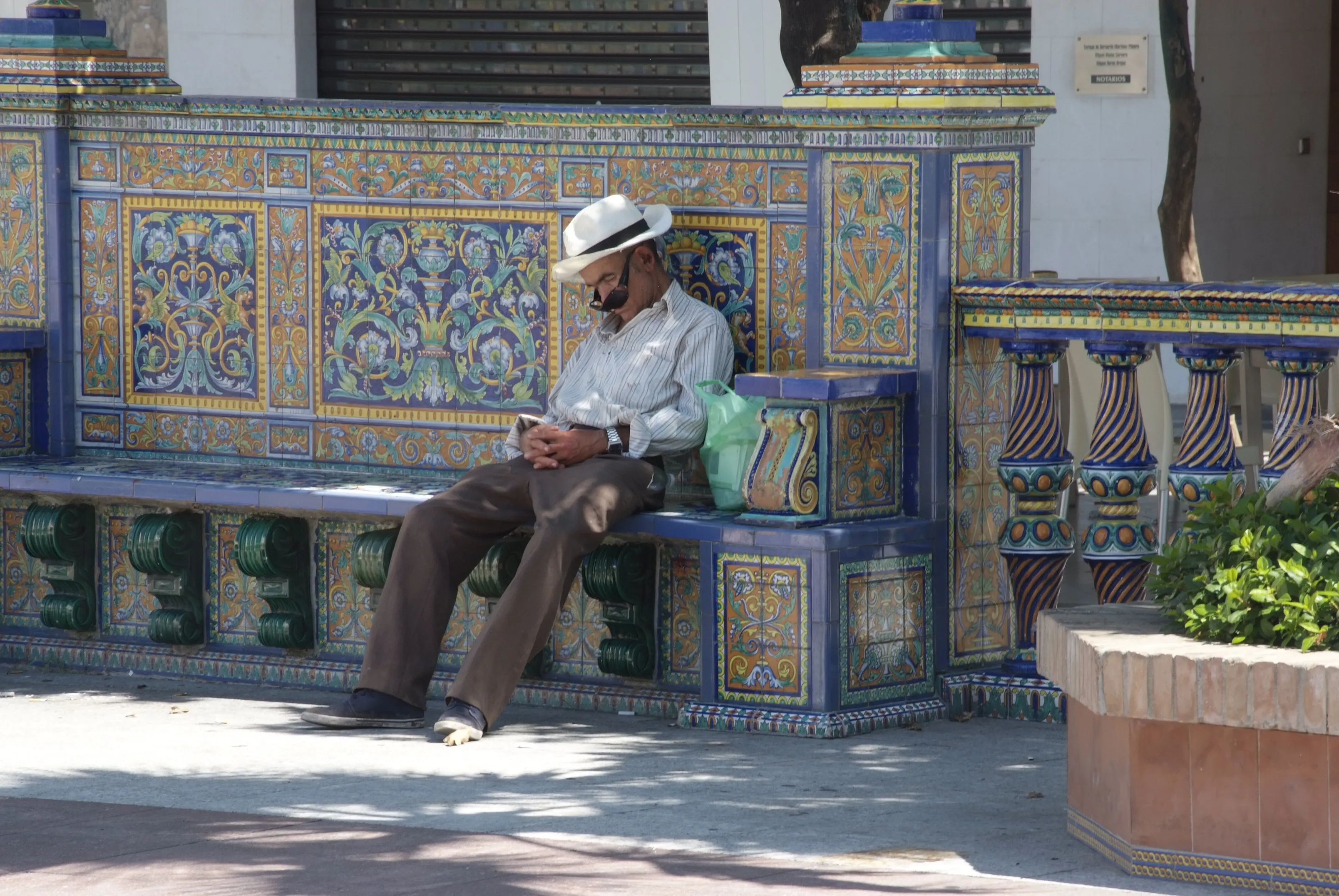 The Siesta