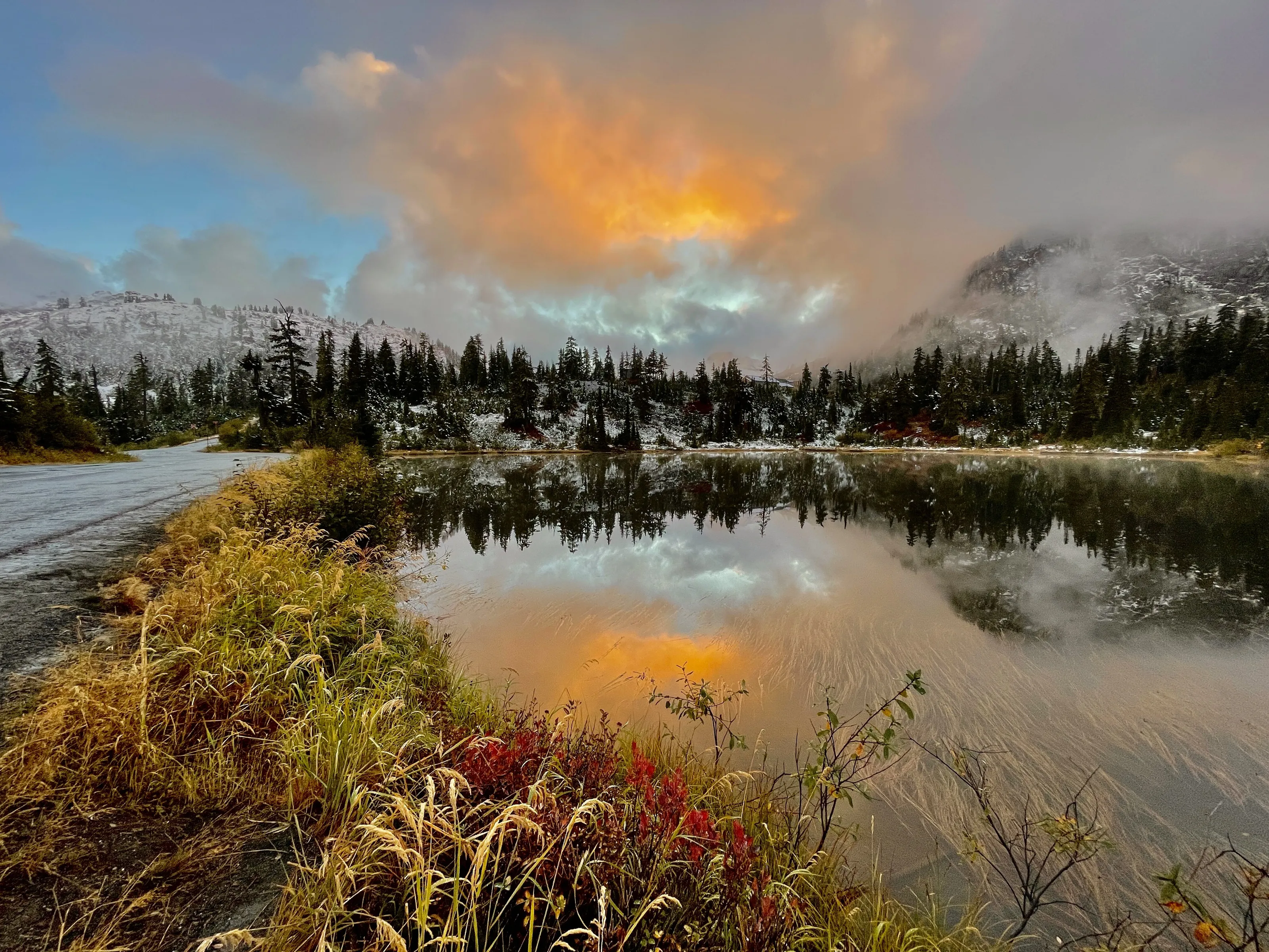 Fall*ing* into Winter