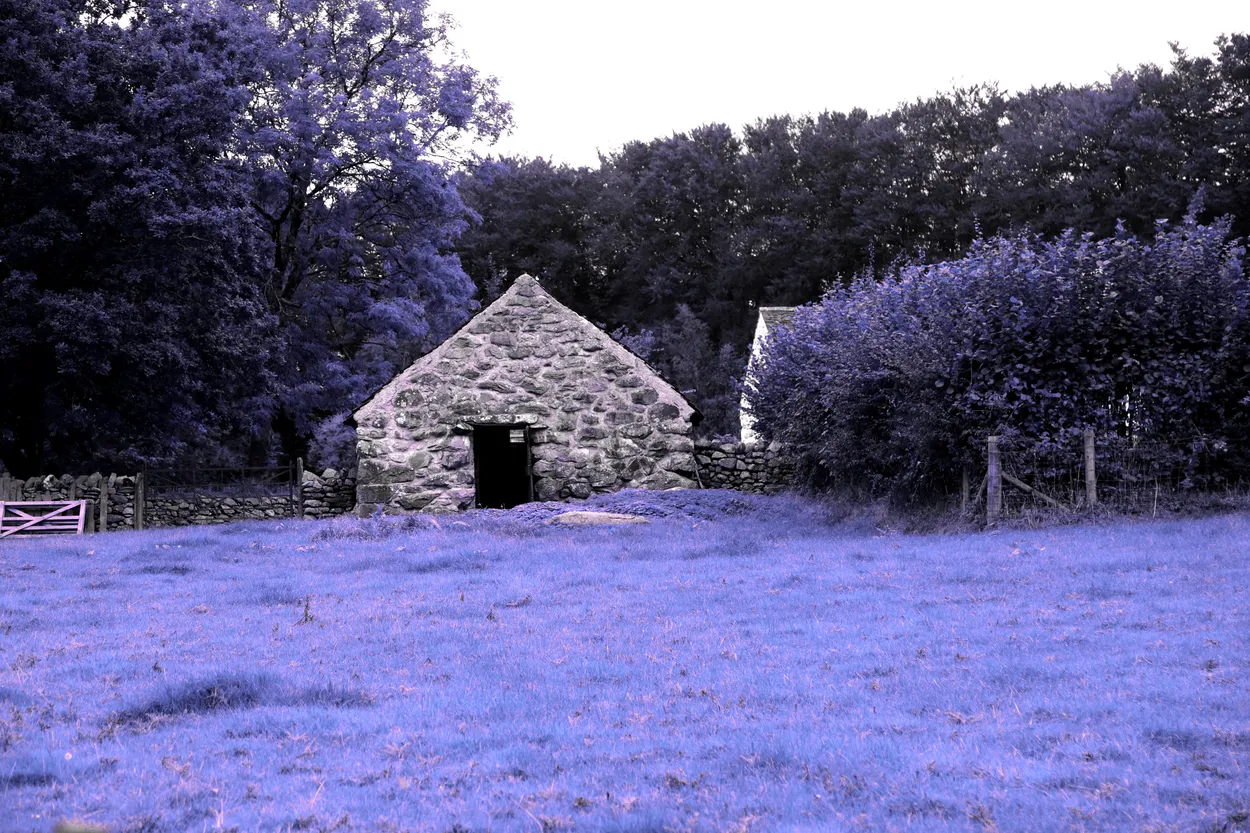 Entry 14512513