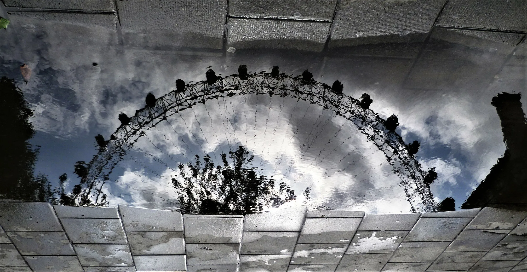 Entry 16543741