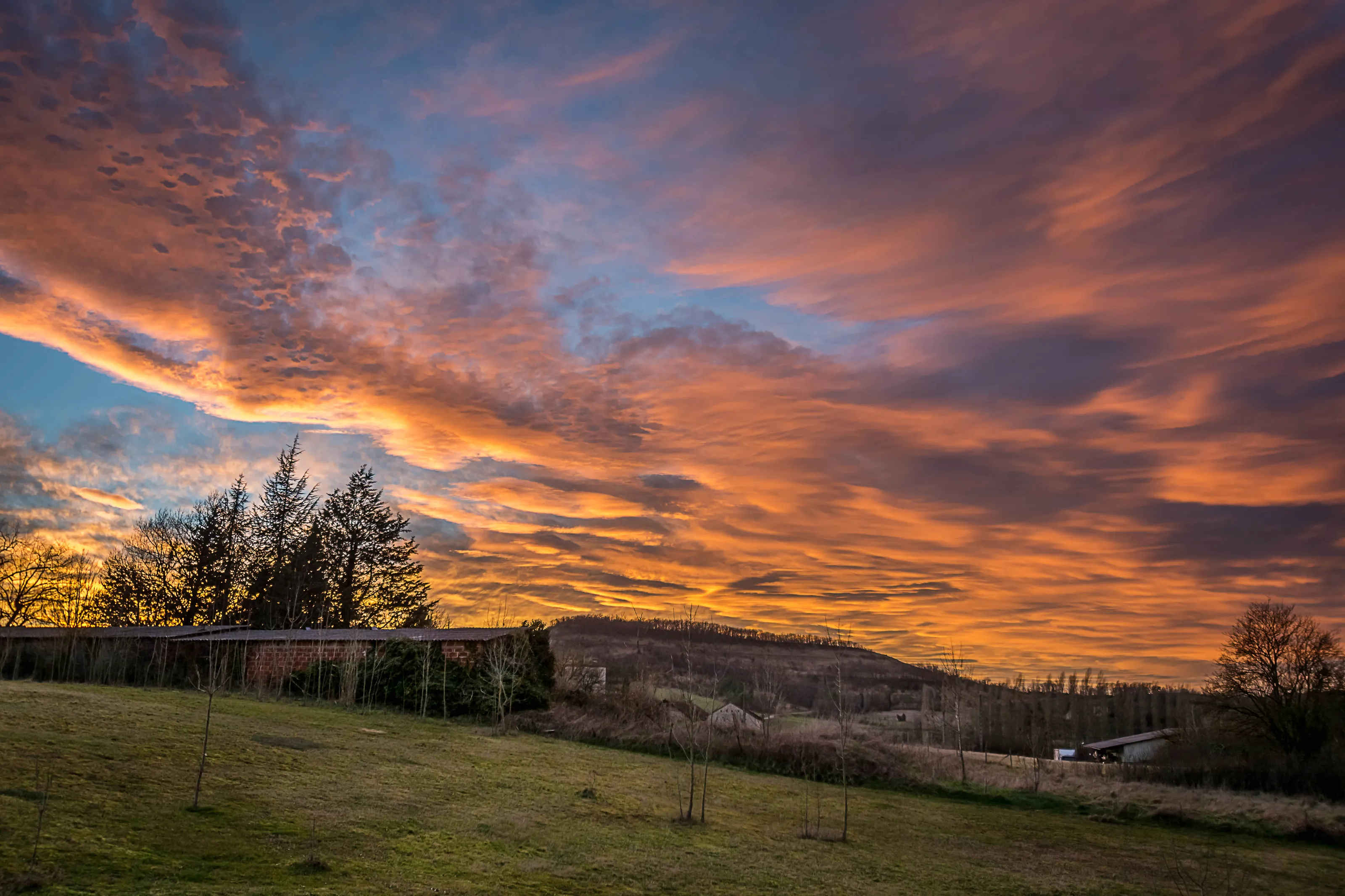Evening Sky