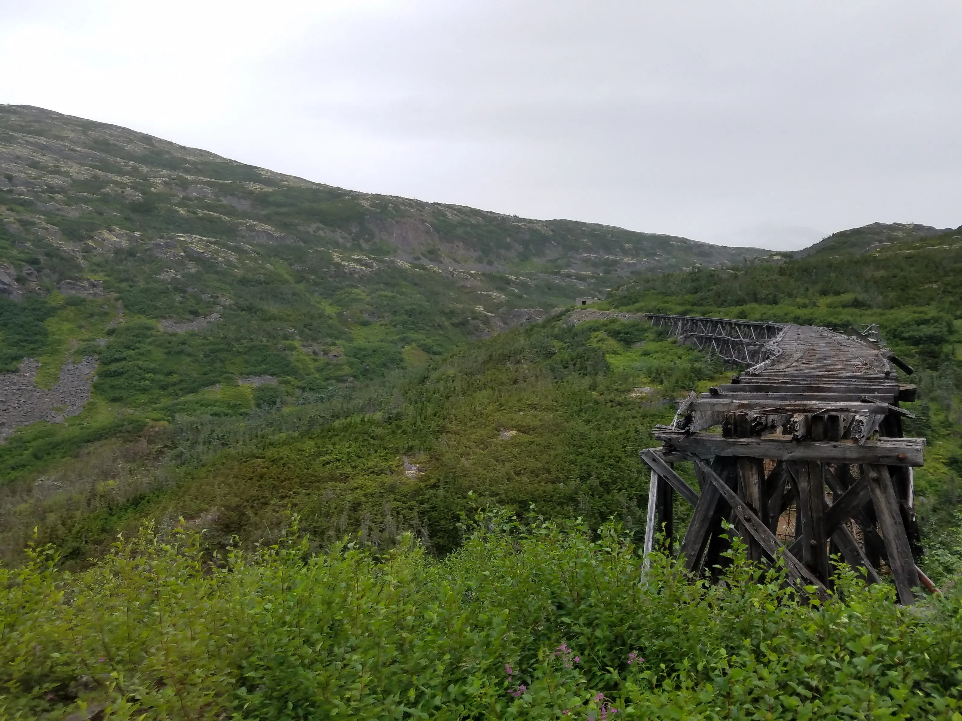 Old Skagway Trestle Bridge