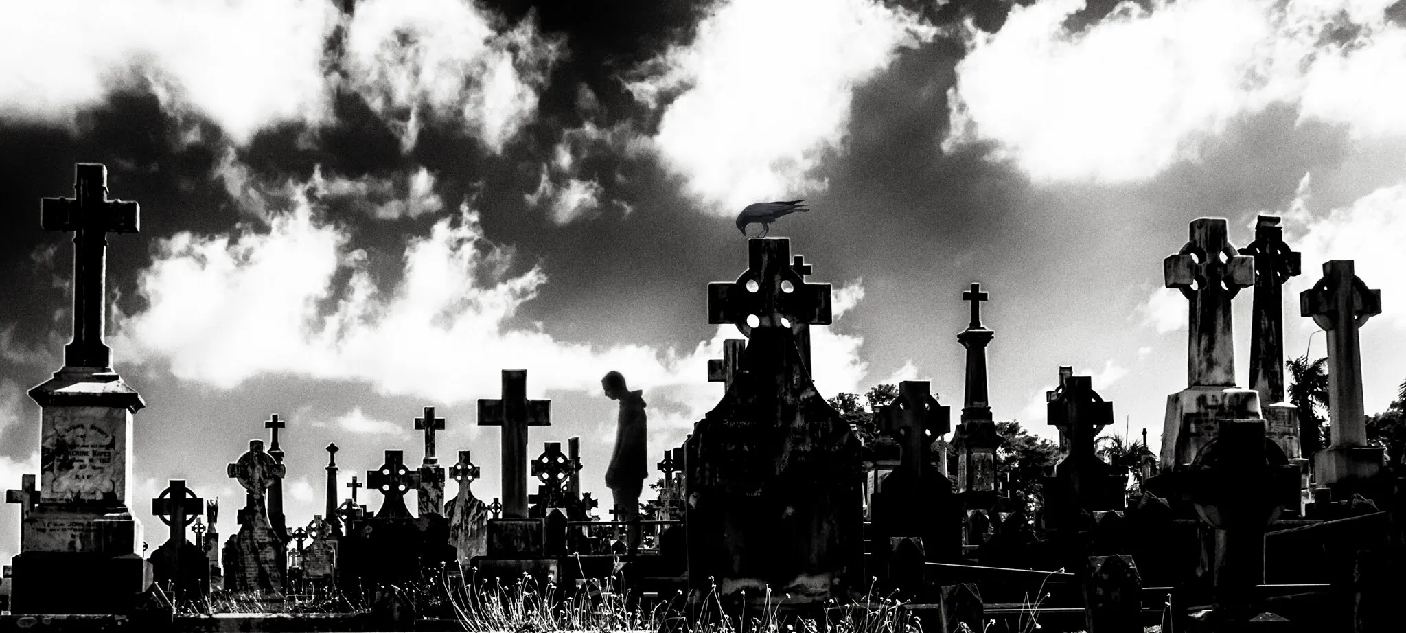 Entry 1425499