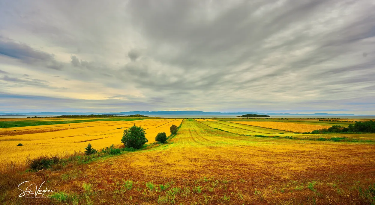 Entry 14525808