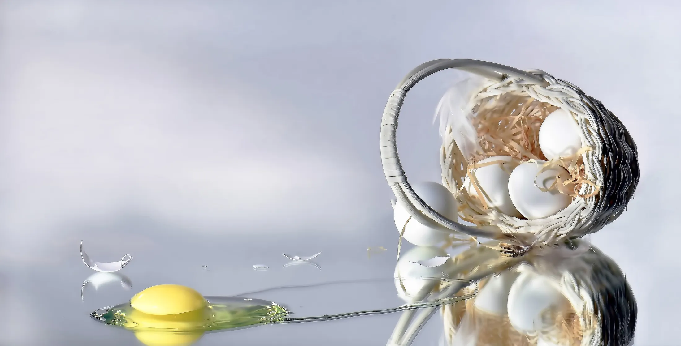 Entry 14528915
