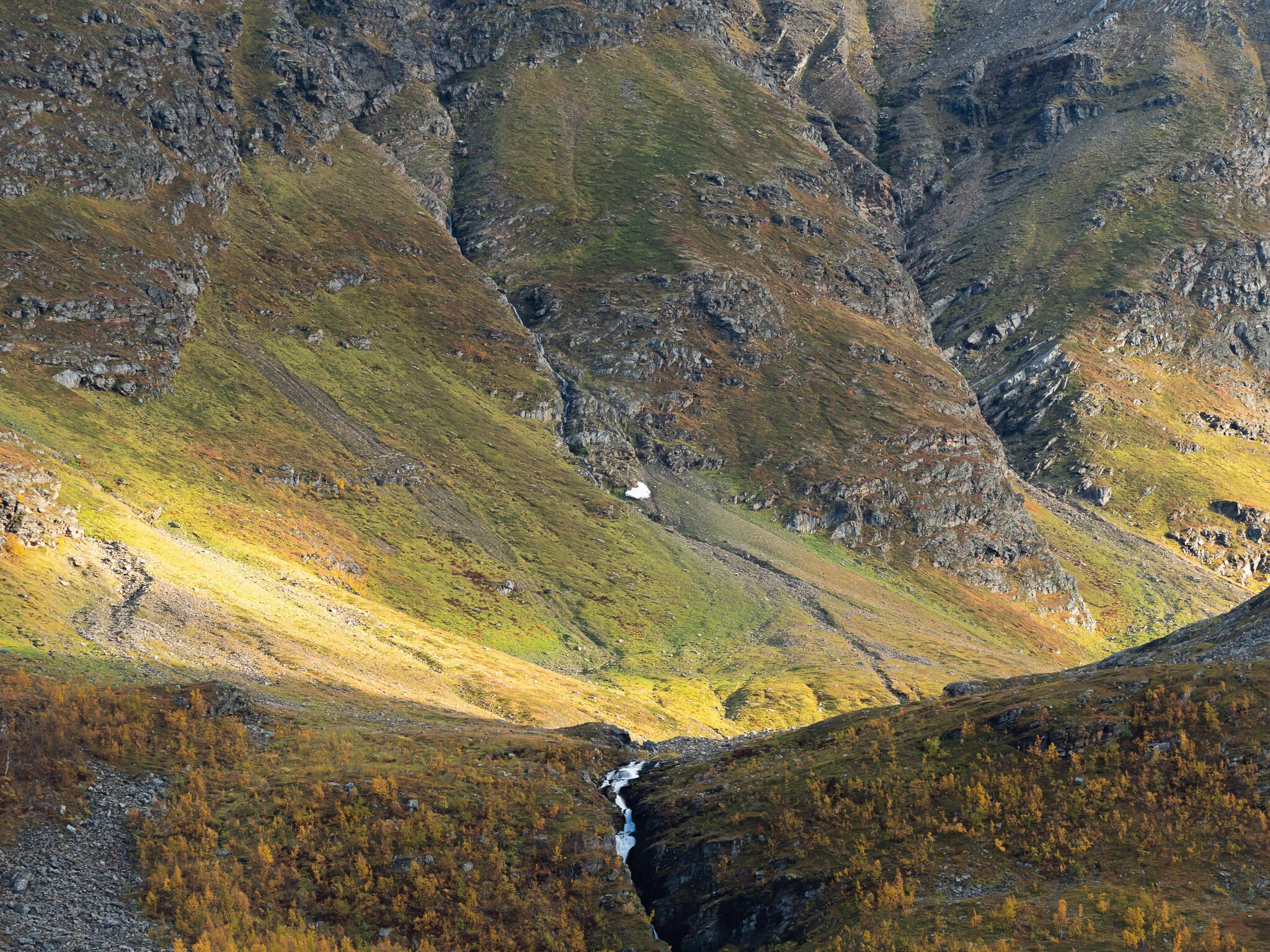there´s gonna be peace in the valley