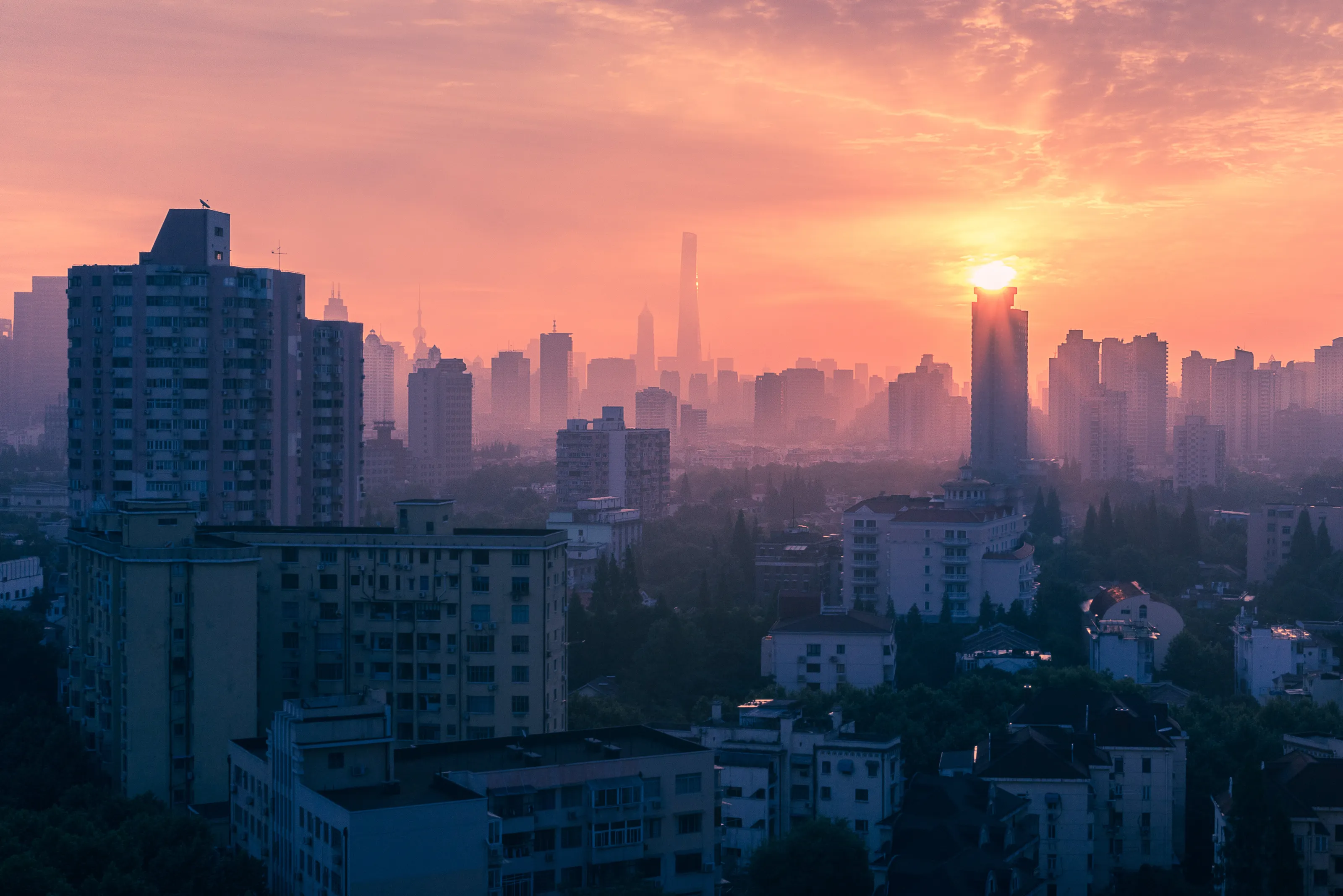 Shanghai Morning