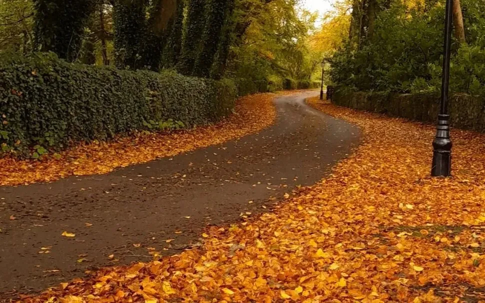 Last days of Autumn