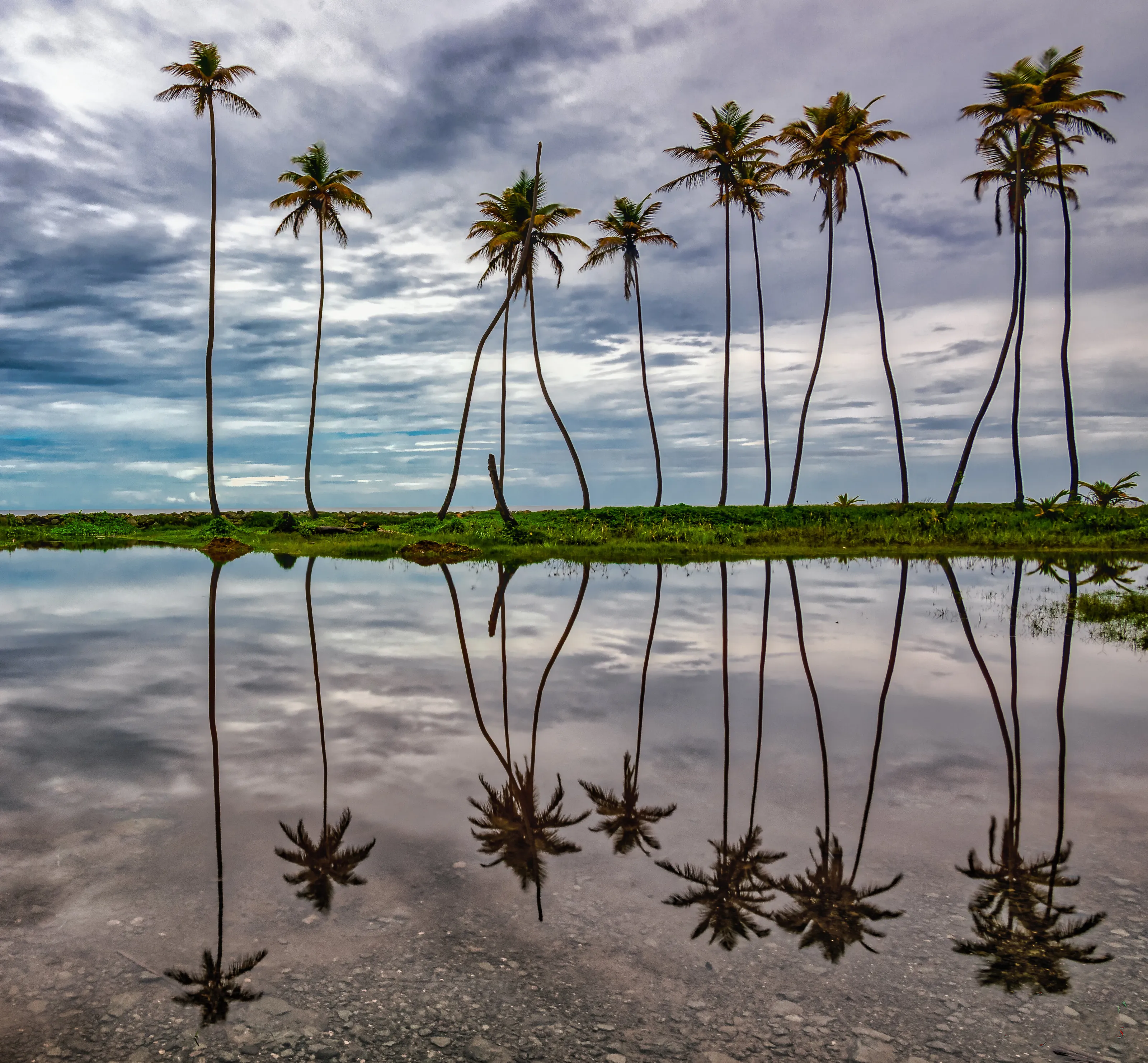 Mirror Dancers