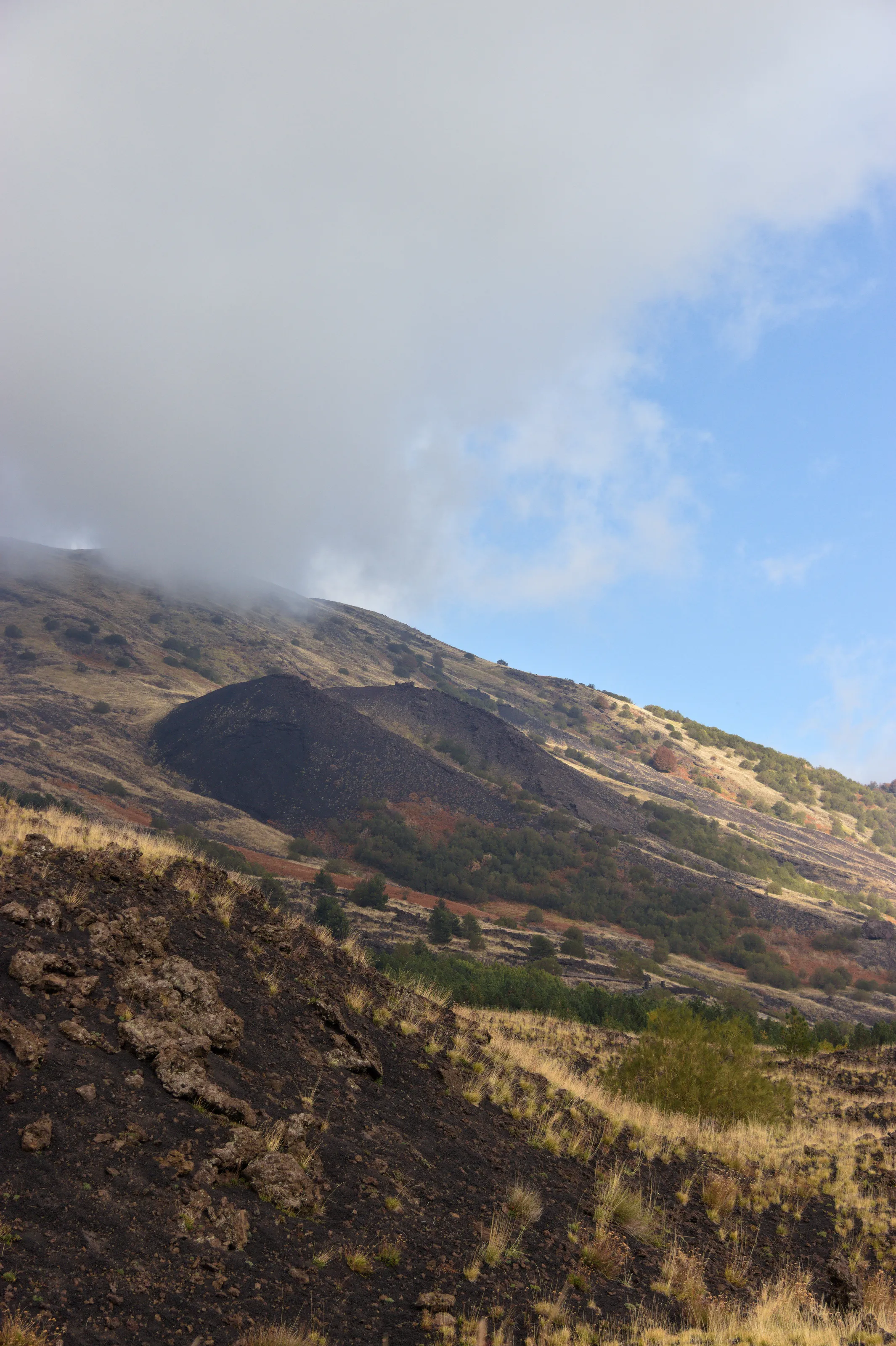 Forms of Mother Etna