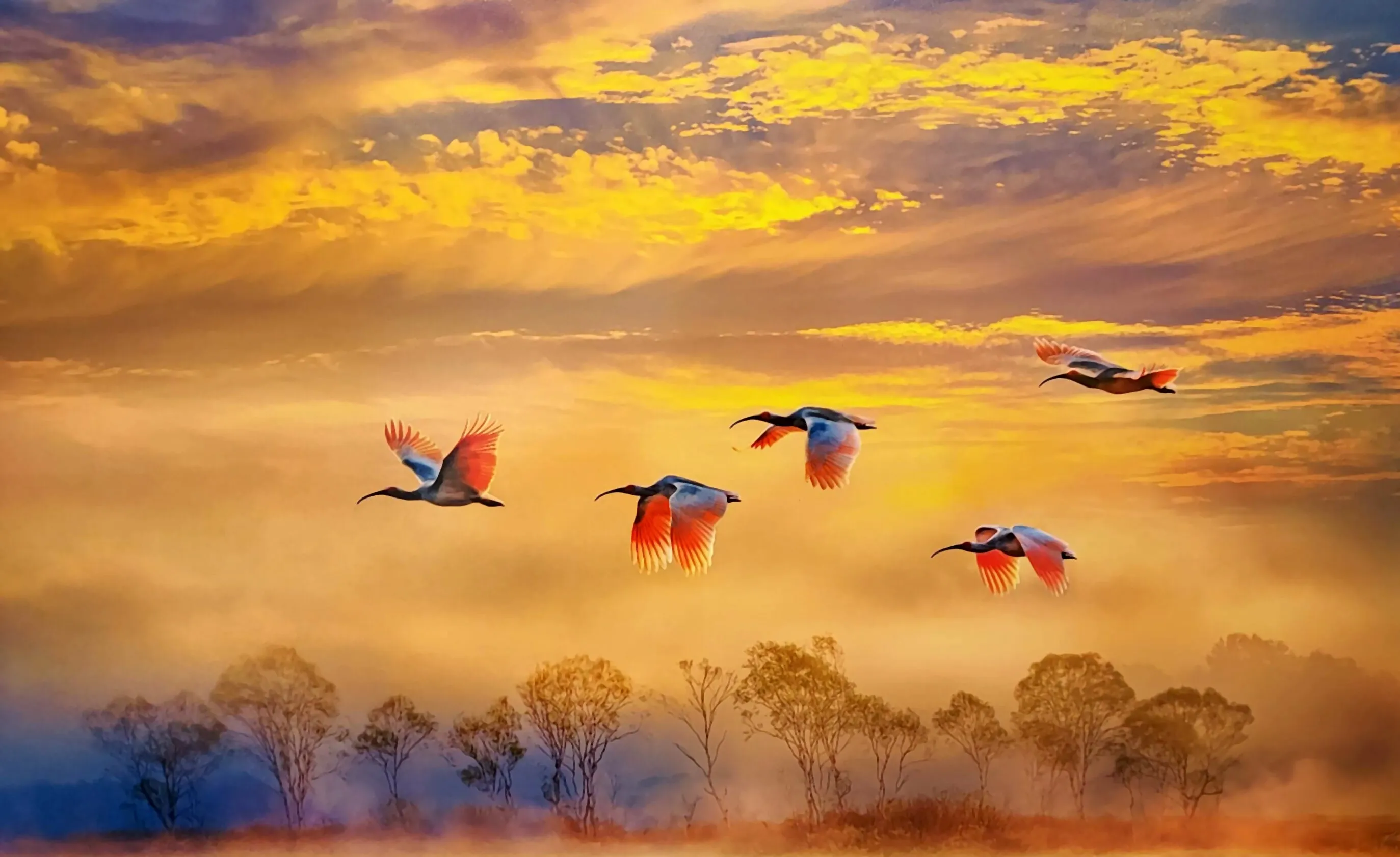 Flying in the sky