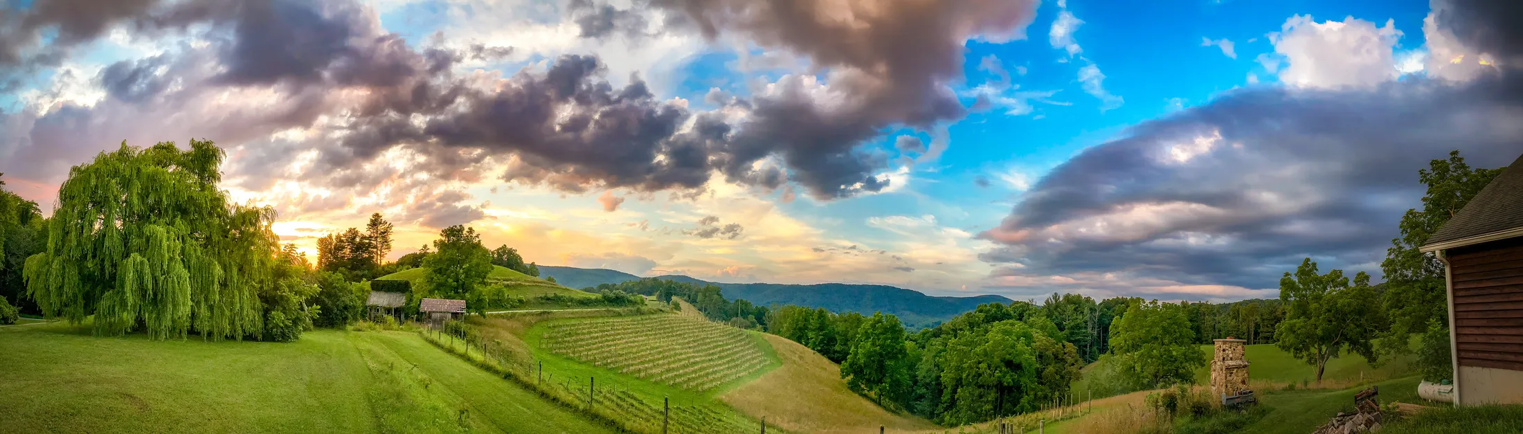 Entry 20840318