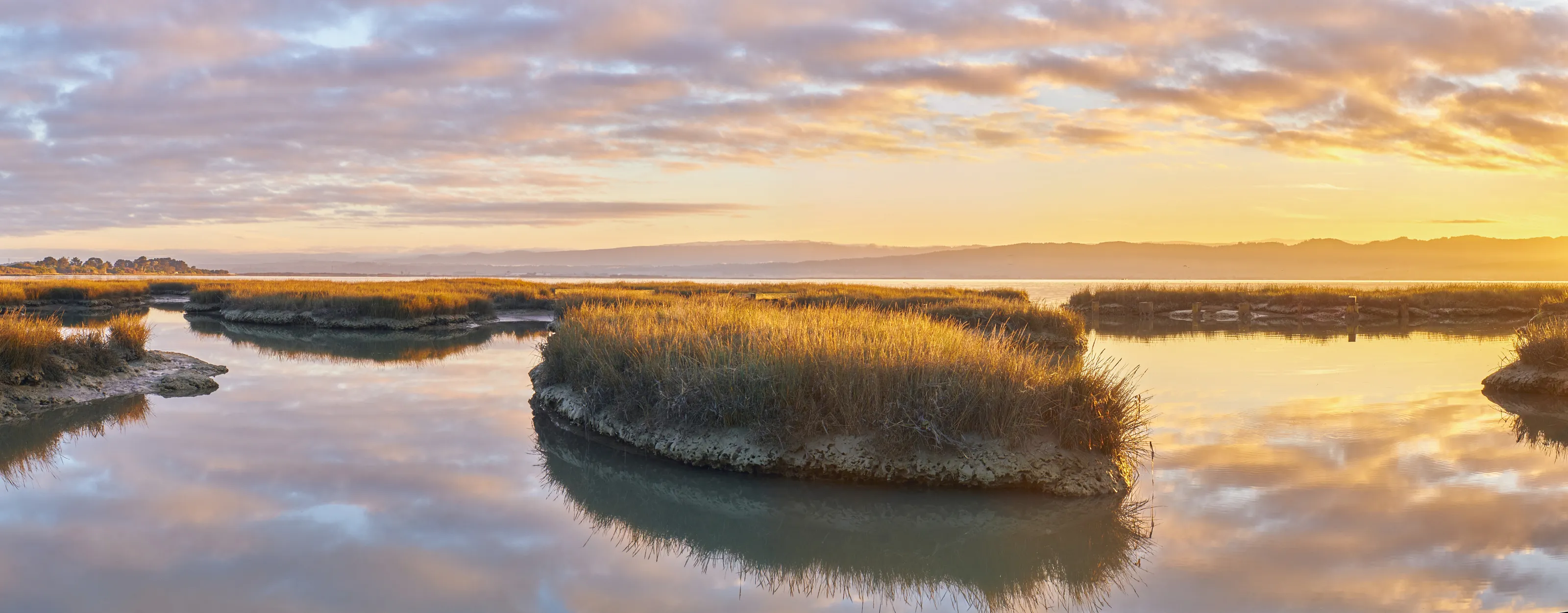 Eureka Marsh