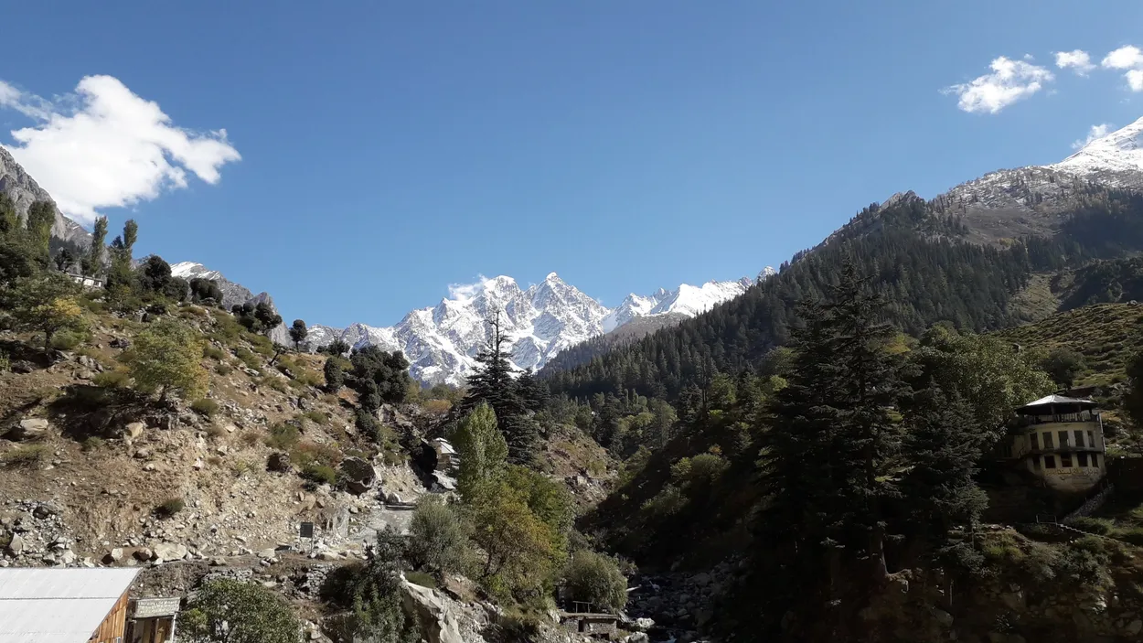 Entry 14559013