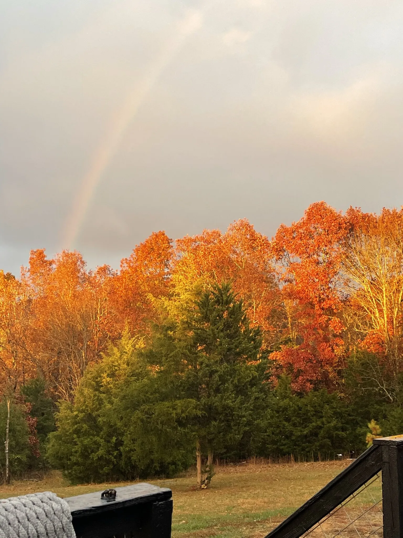 Fall in the hills of Hardy, AR