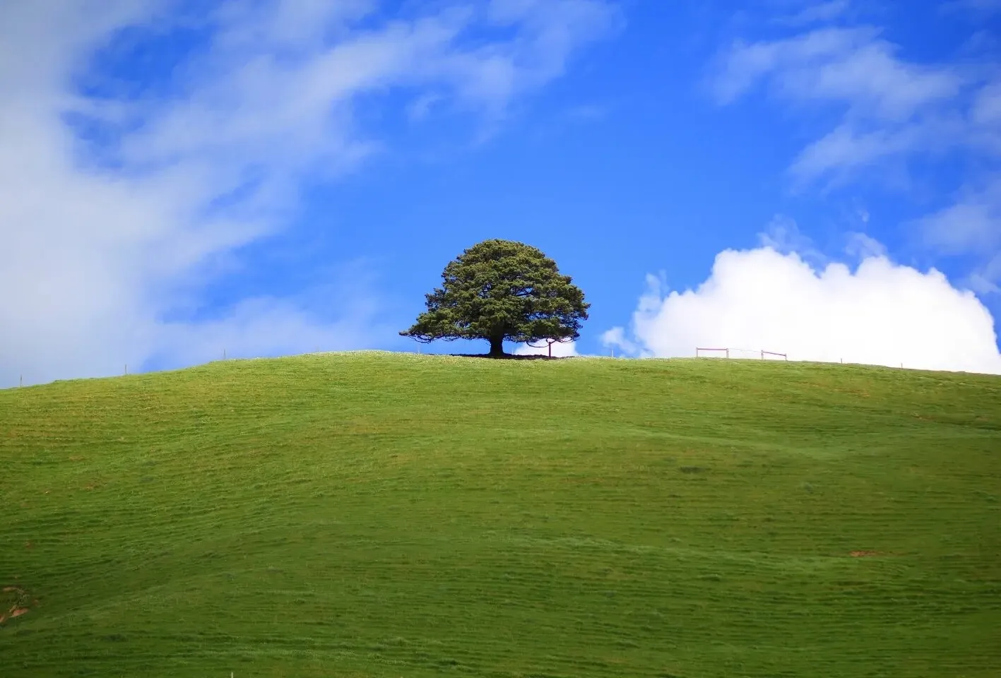 Windows screen saver