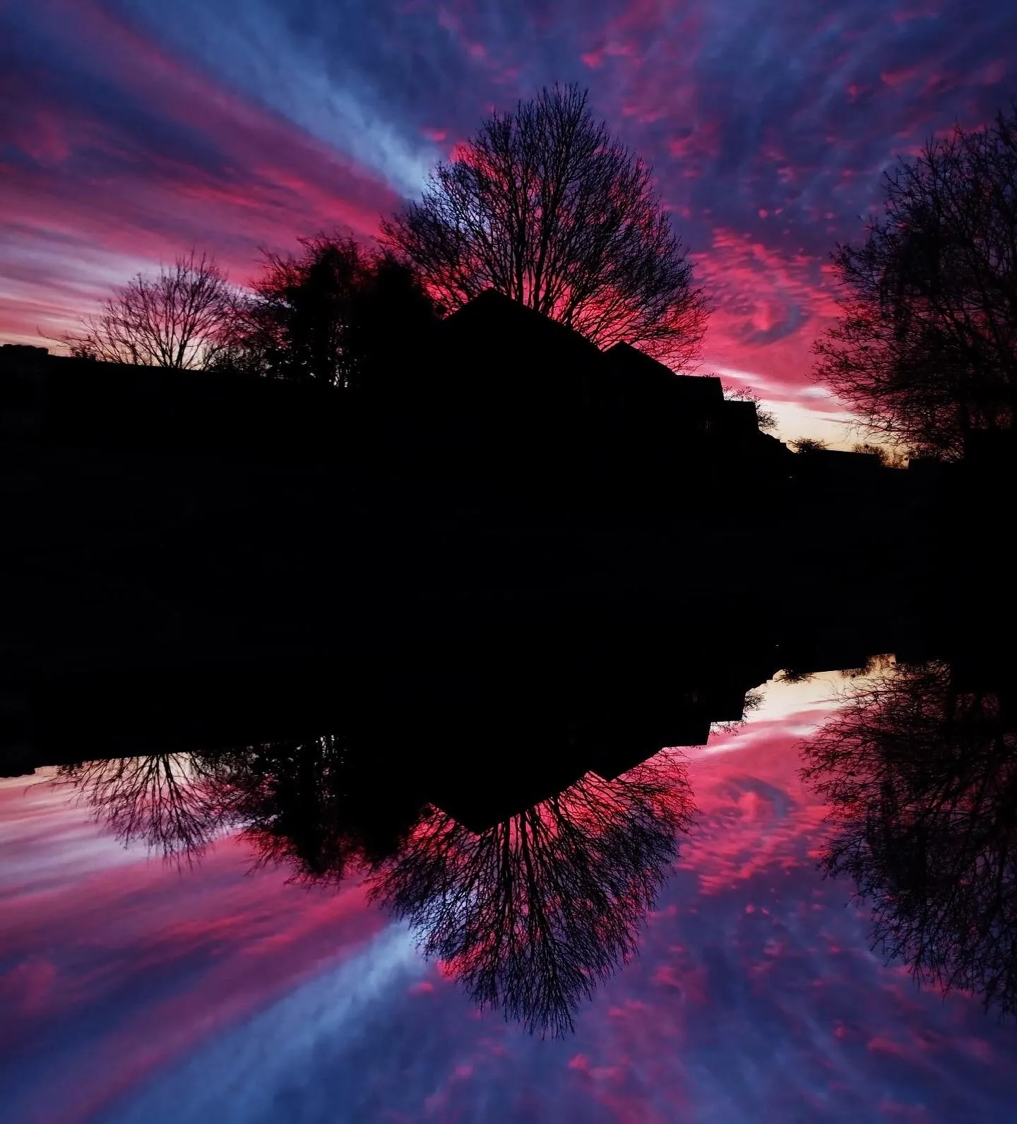 Pink Skies, crazy lives
