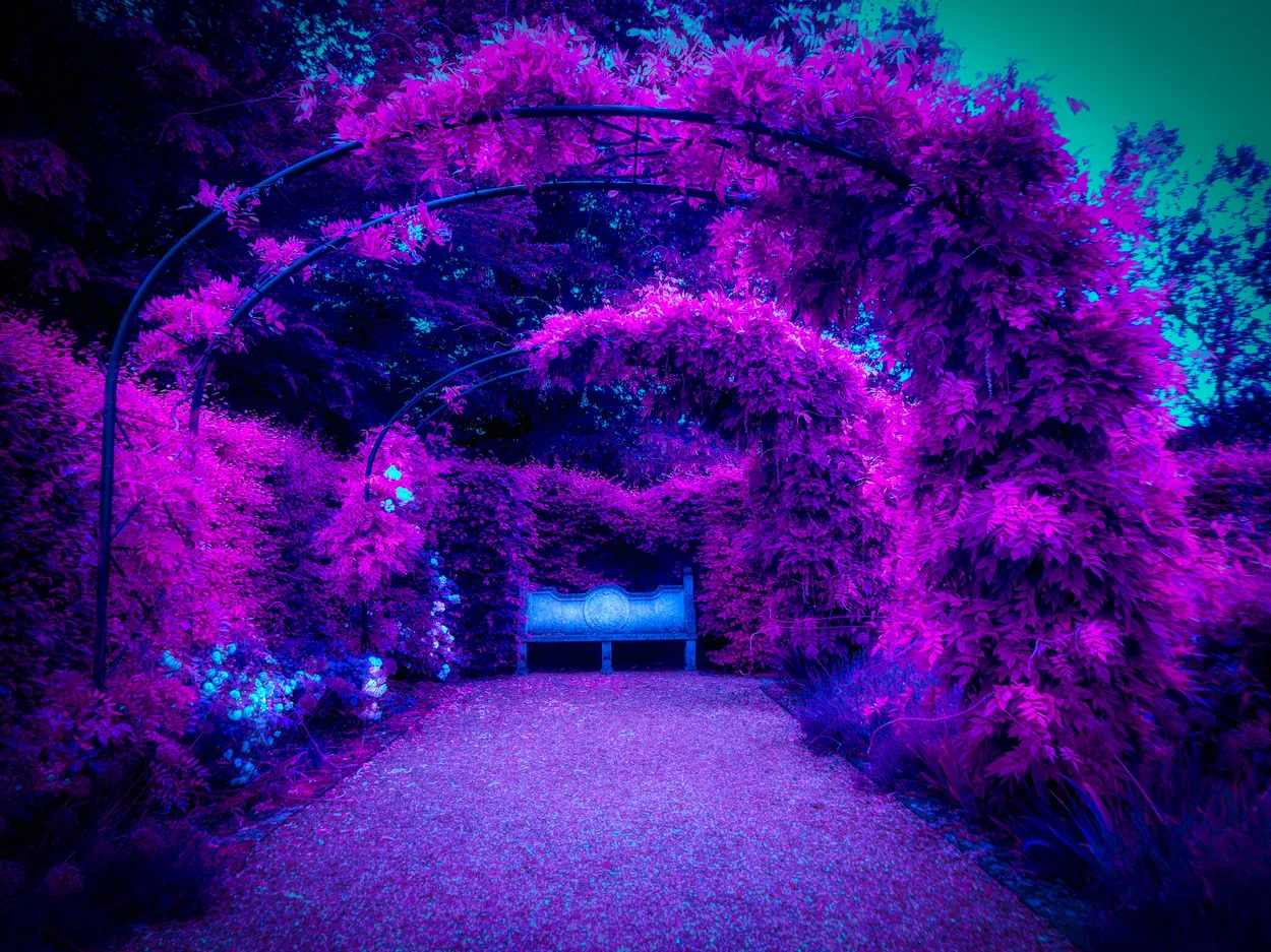Entry 14581154