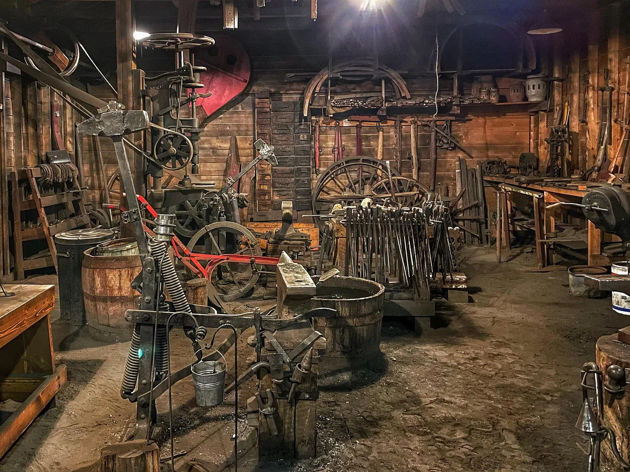 Entry 20524981