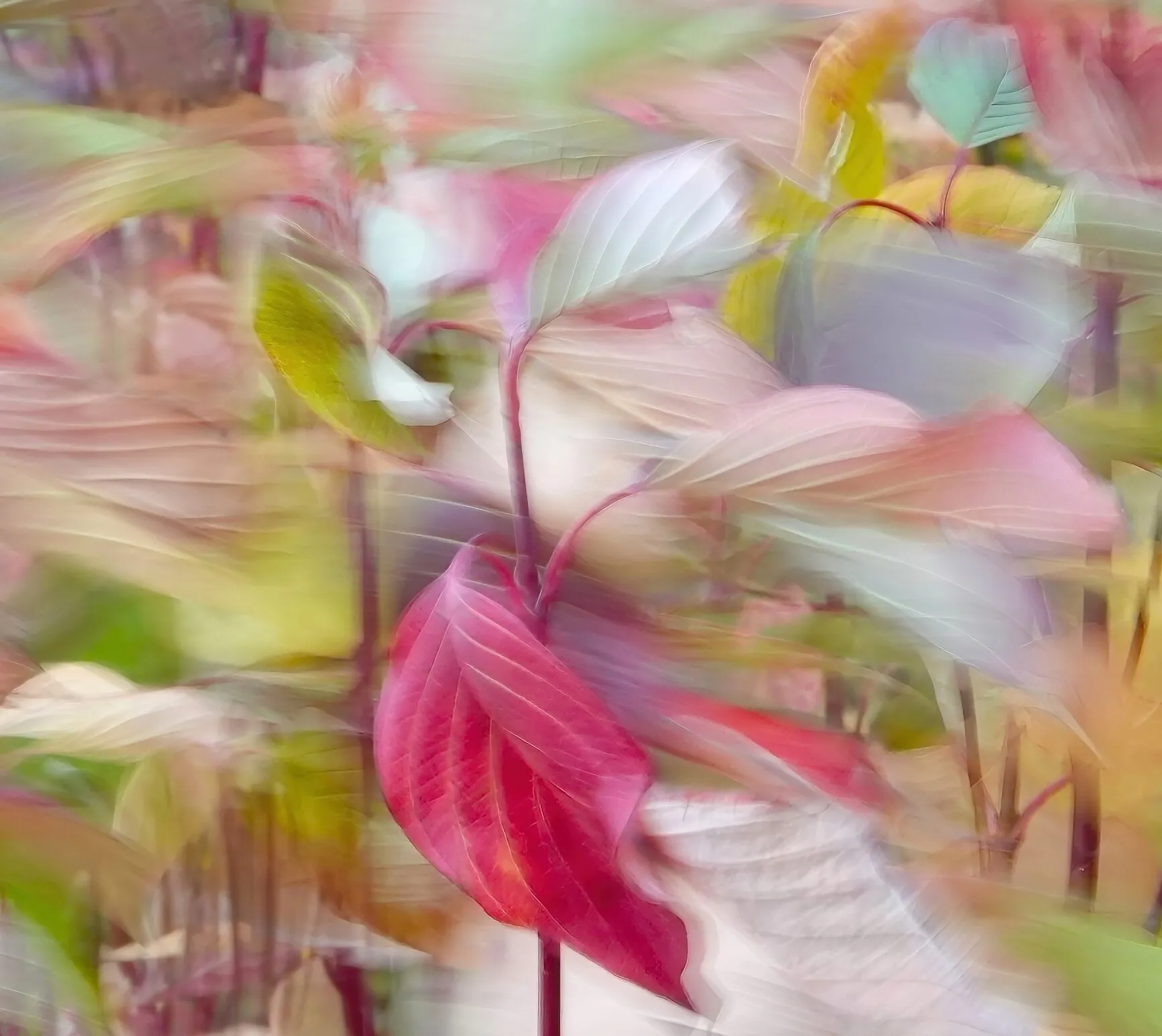 Autumnal Leaves on a Breezy Day.