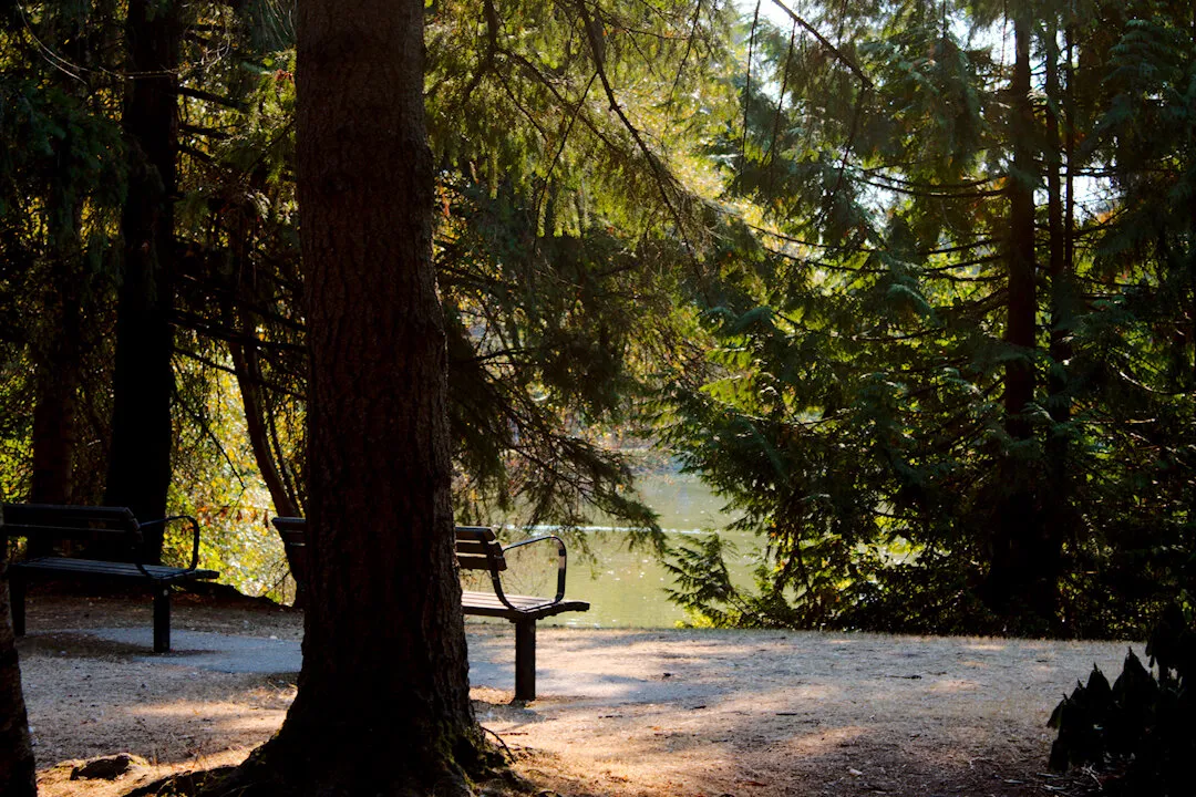 Empty seats in the midst of nature