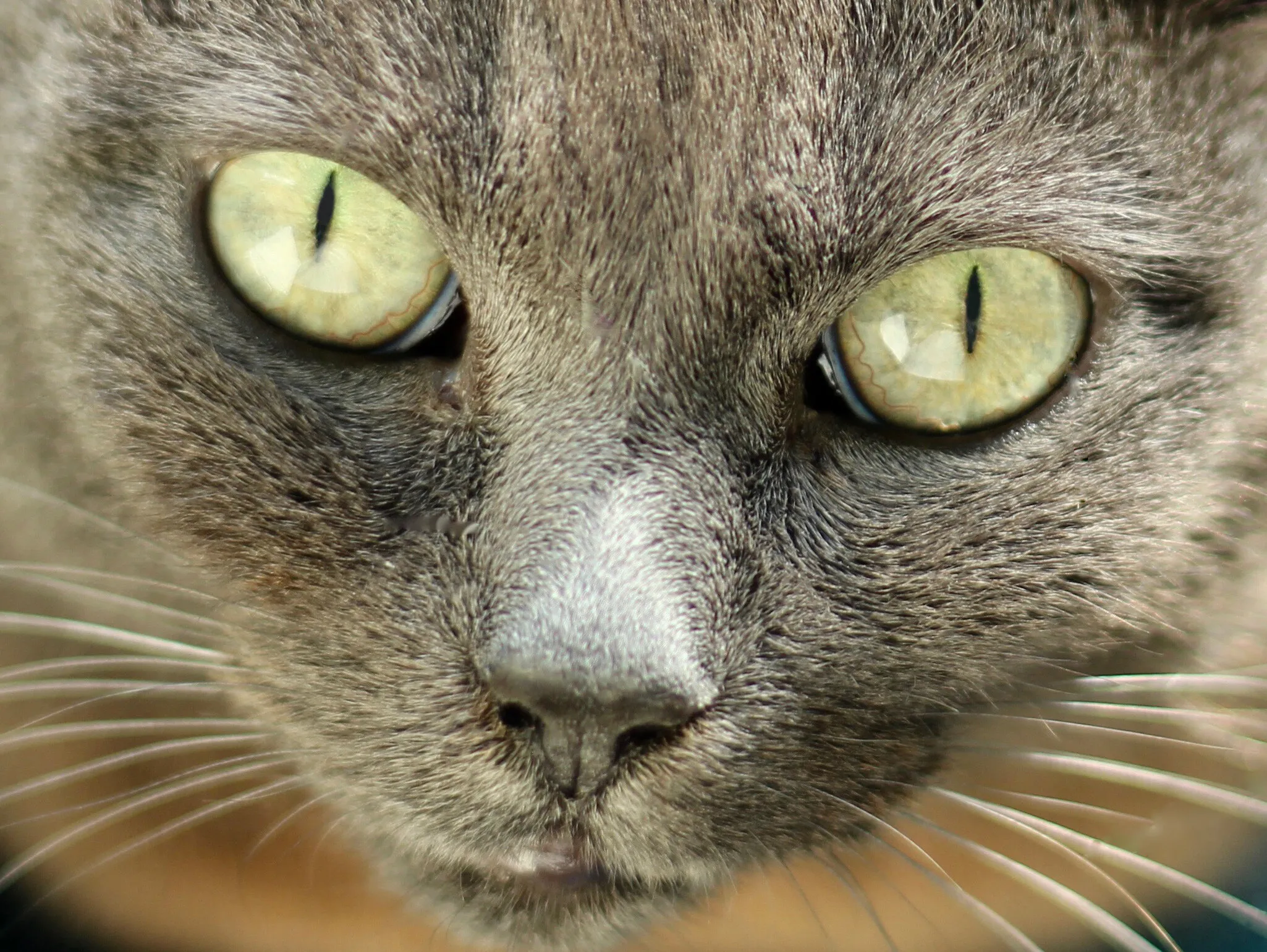 Those eyes