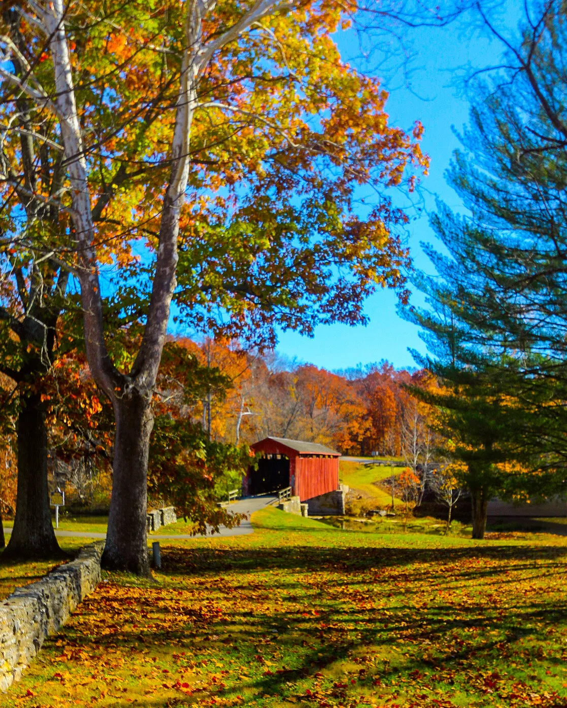 The Covered Bridge at Cataract Falls