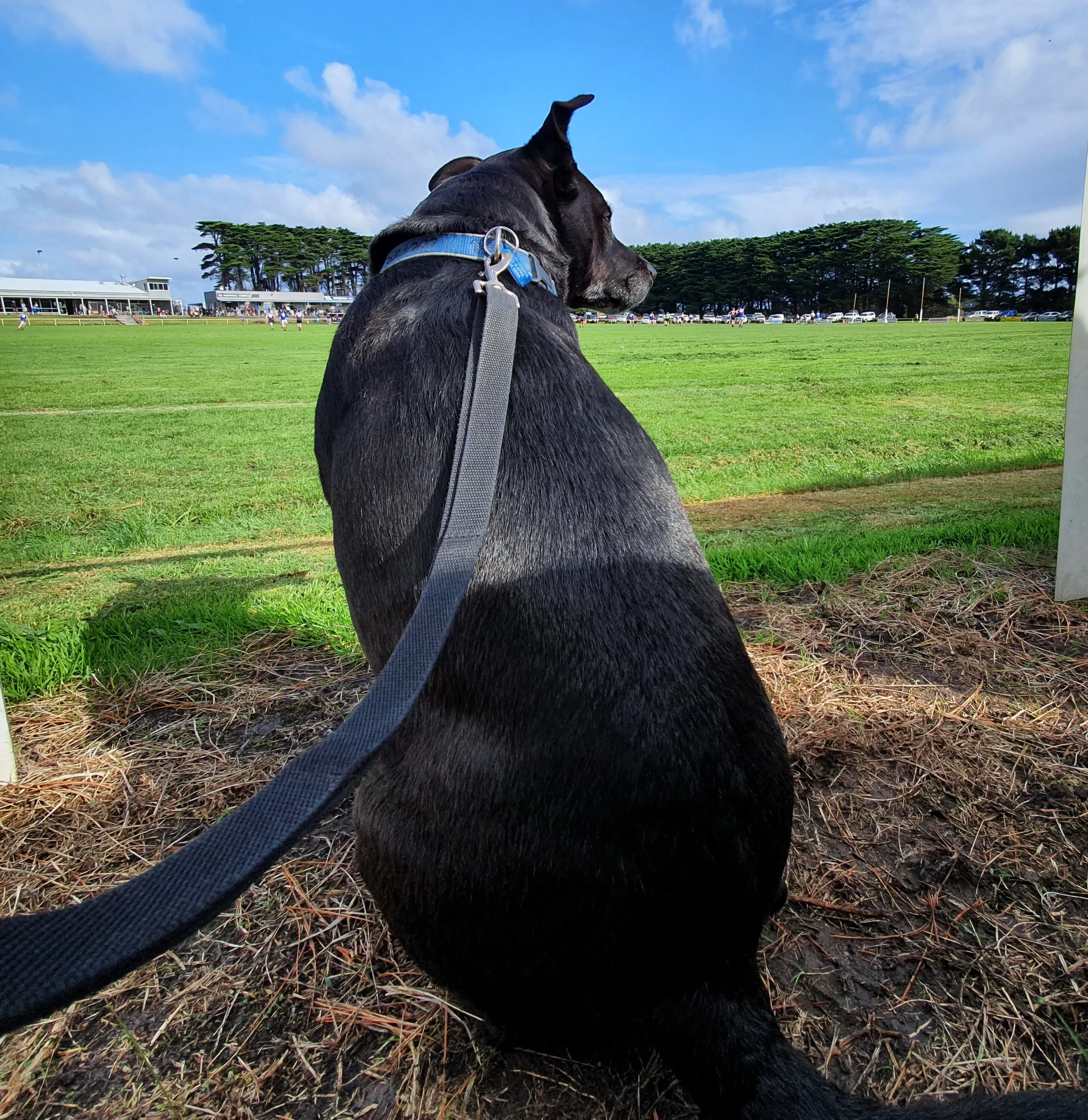 Watching the footy..