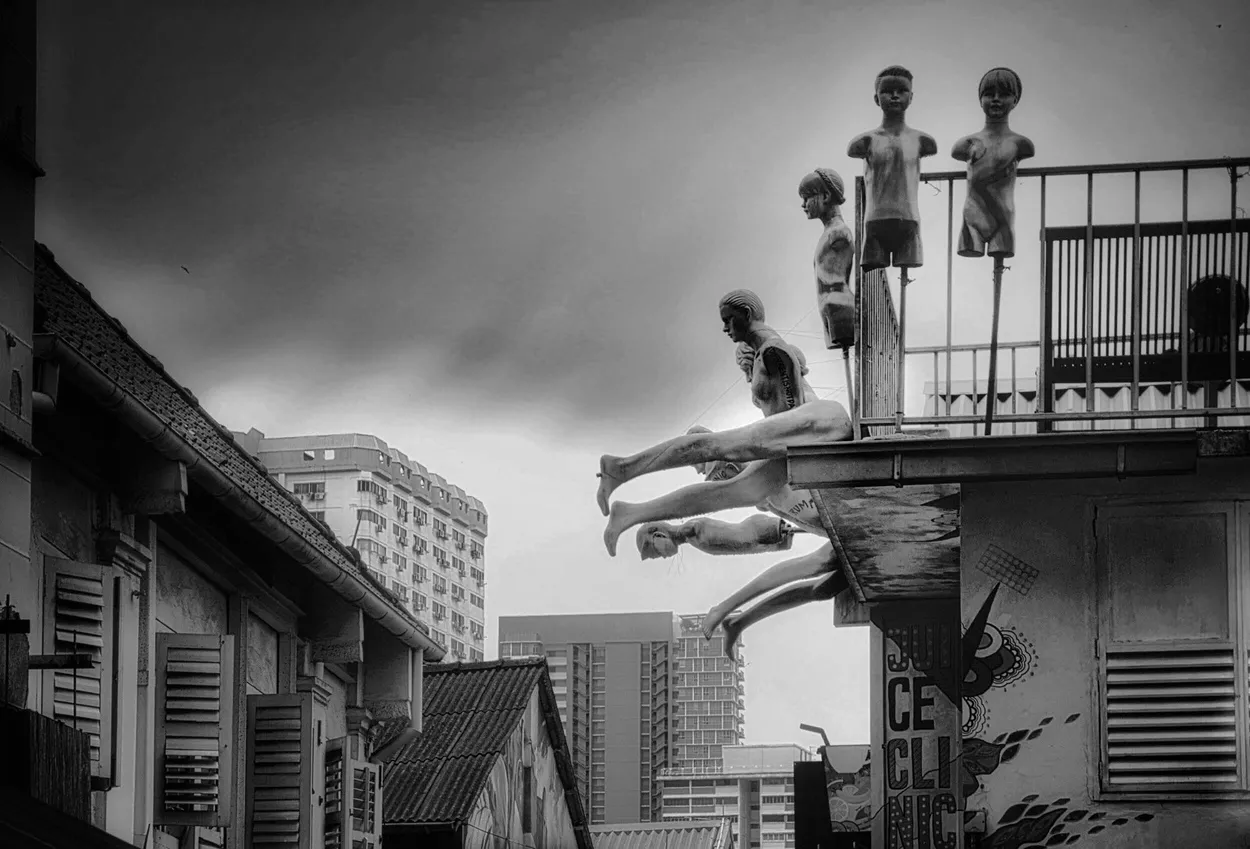 Entry 16263729