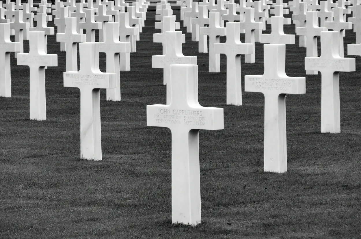 Entry 14631057