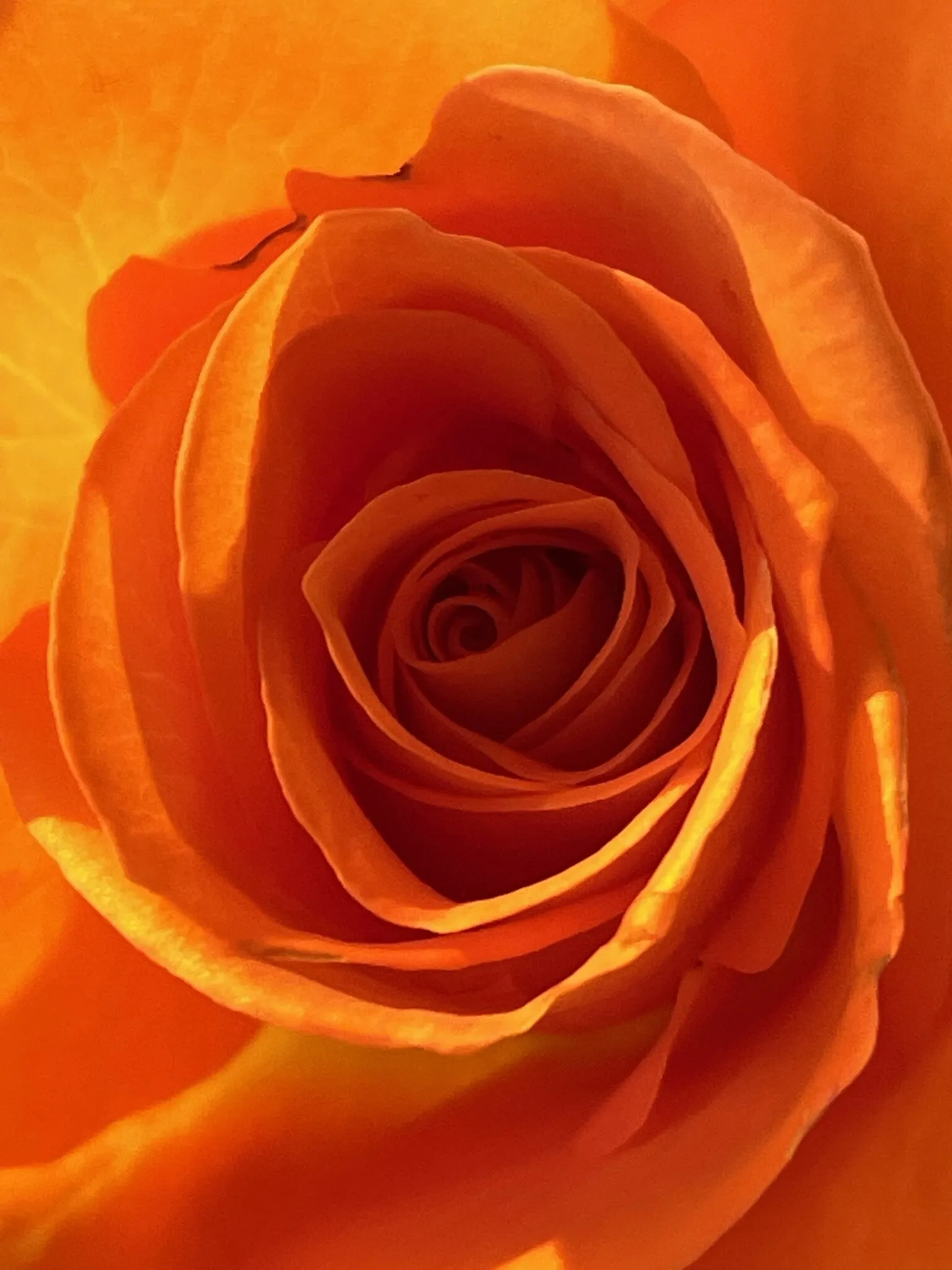 The depth of beauty