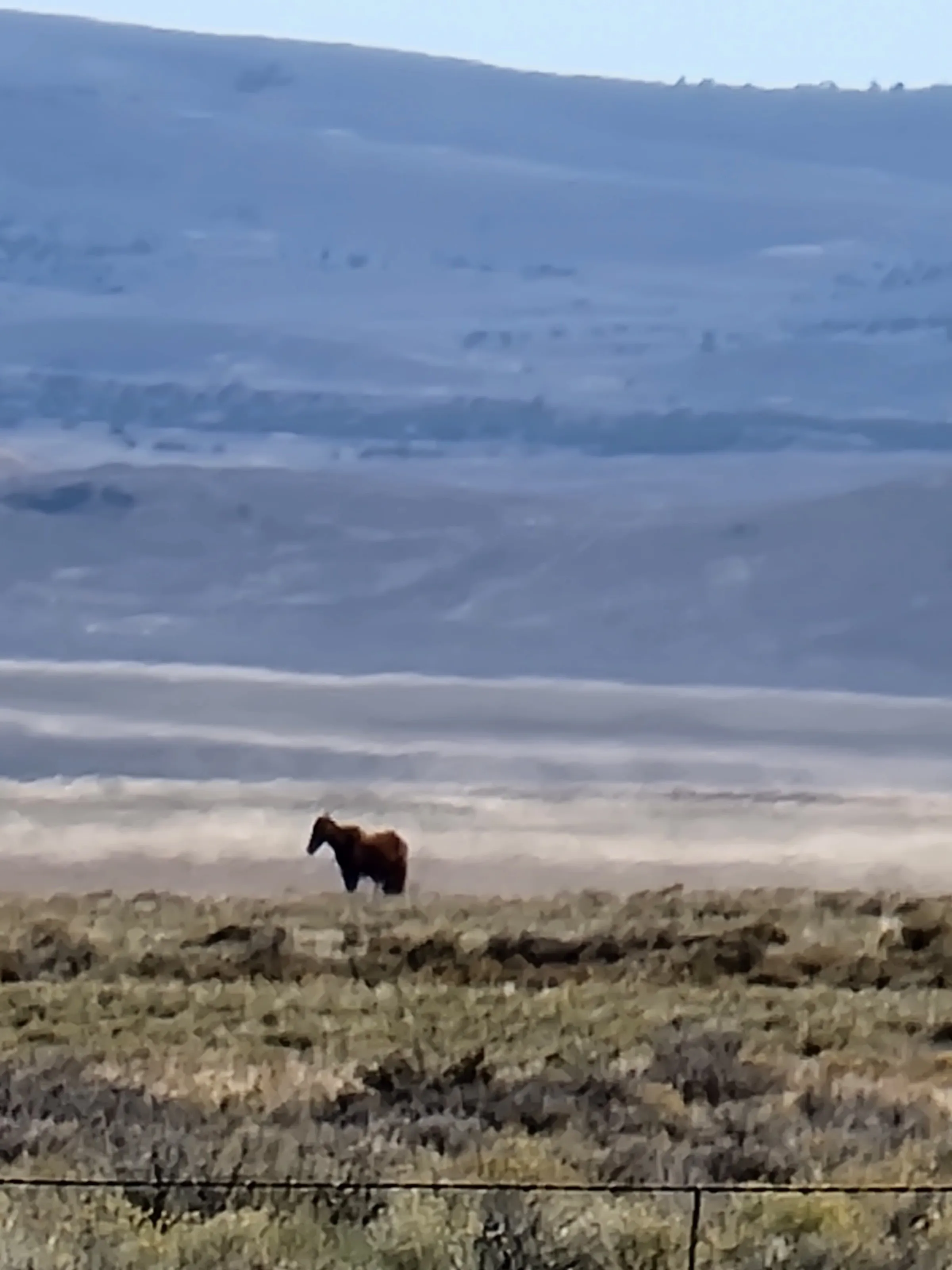 Nevada's East Desert