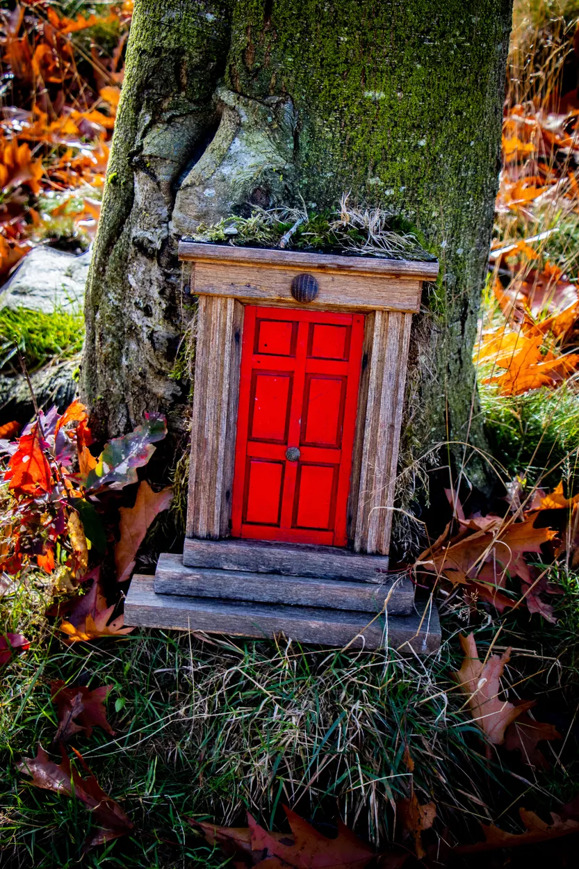 Entry 18354426