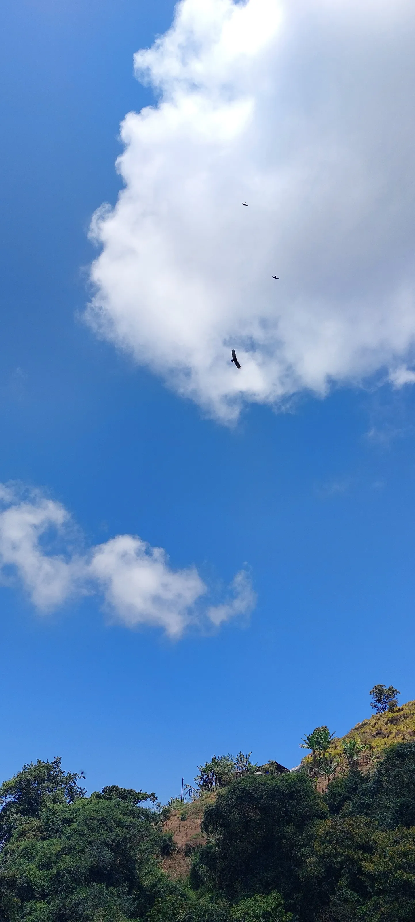 Just the beauty of the blue sky