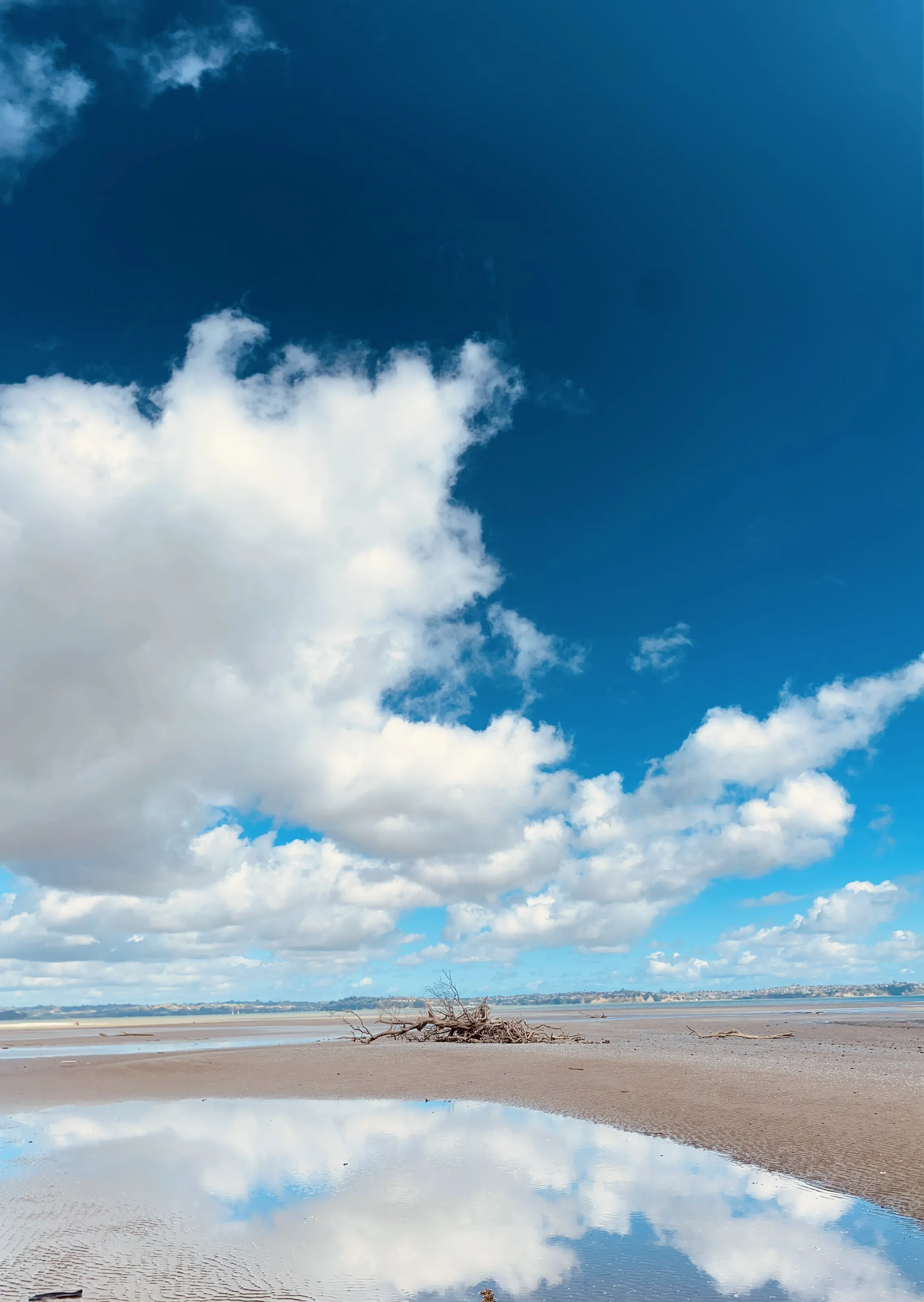 Tide out