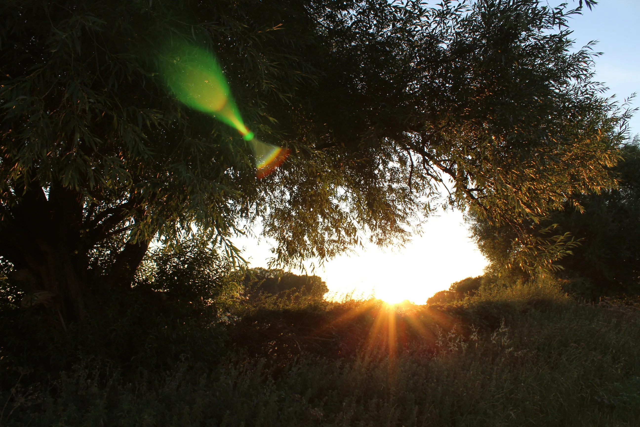 Before a sunset