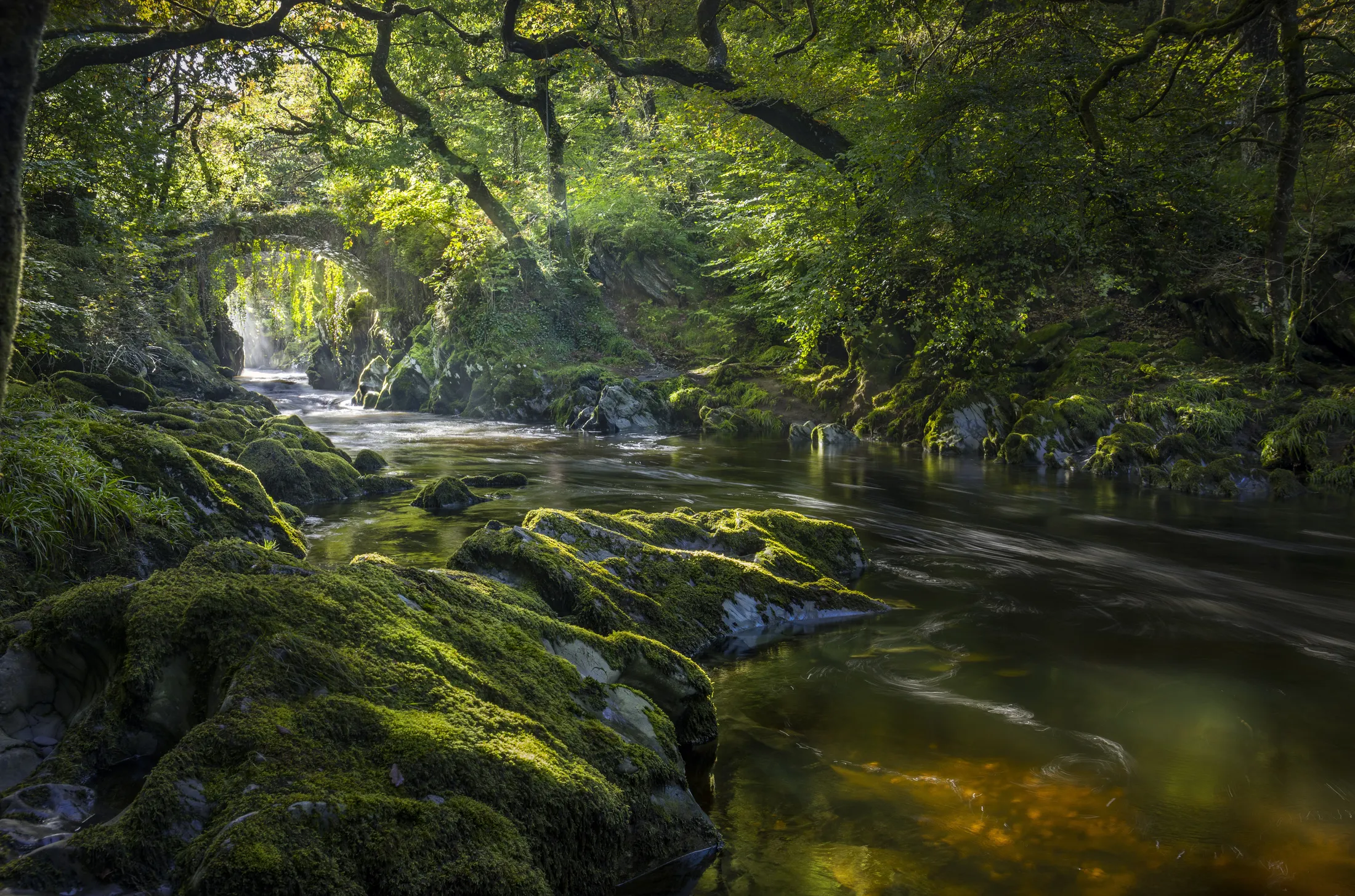 The Roman Bridge, Penmachno