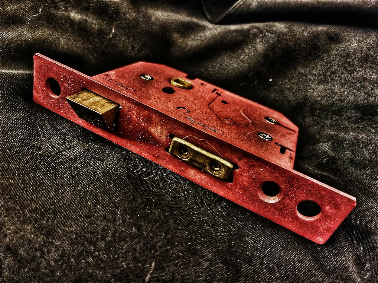 Entry 19899355