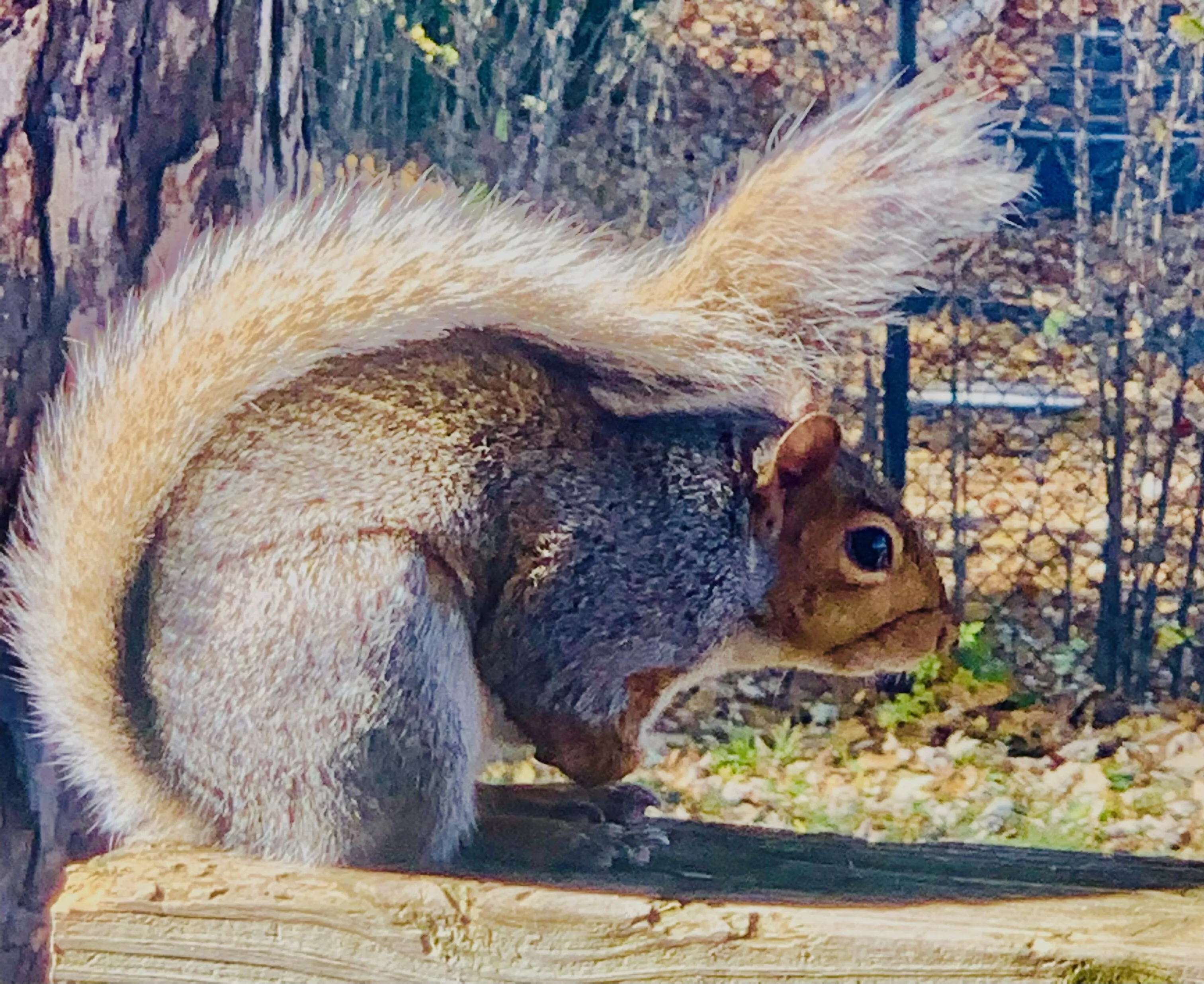 Bracing the wind