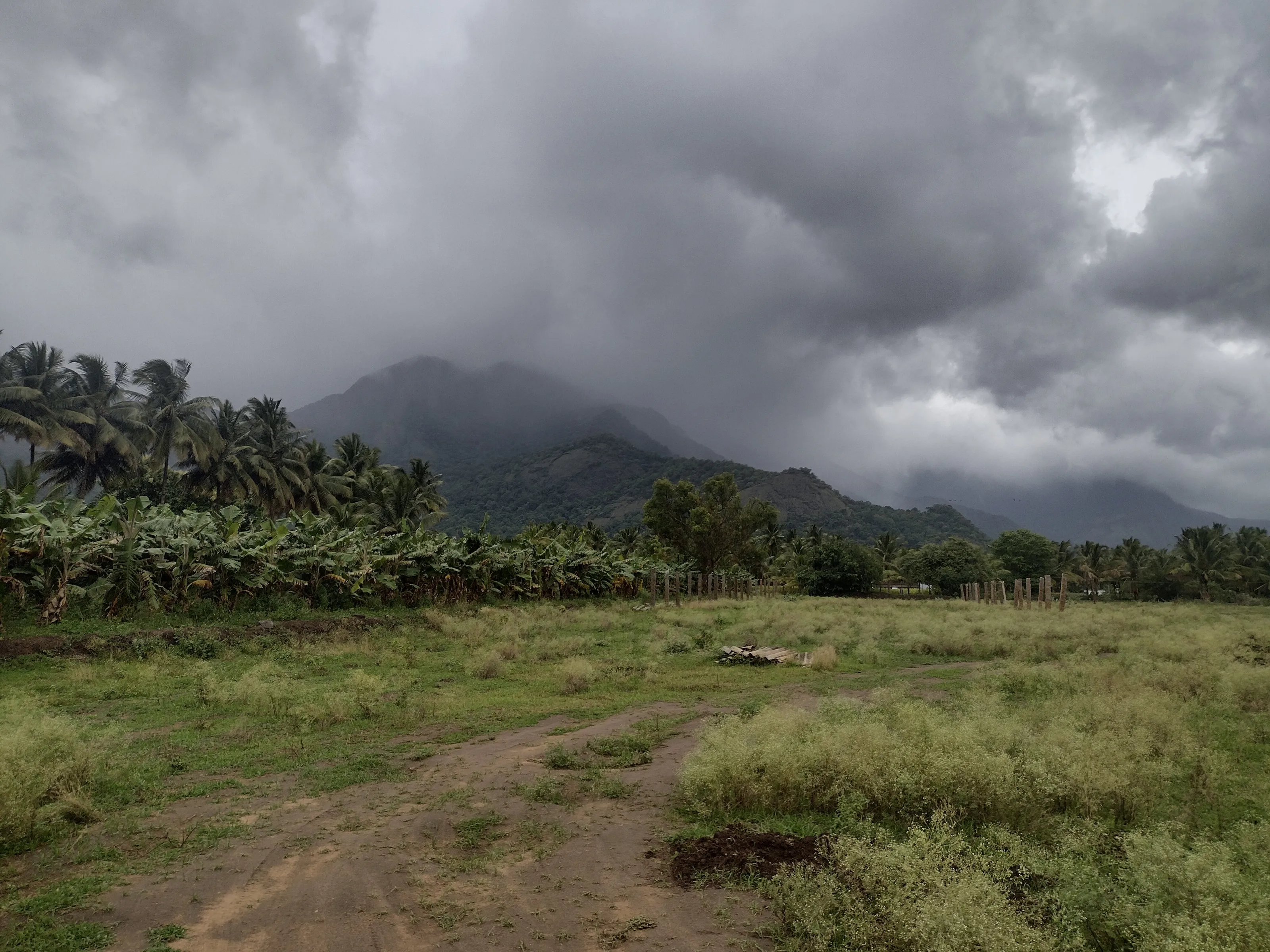 Mountain view