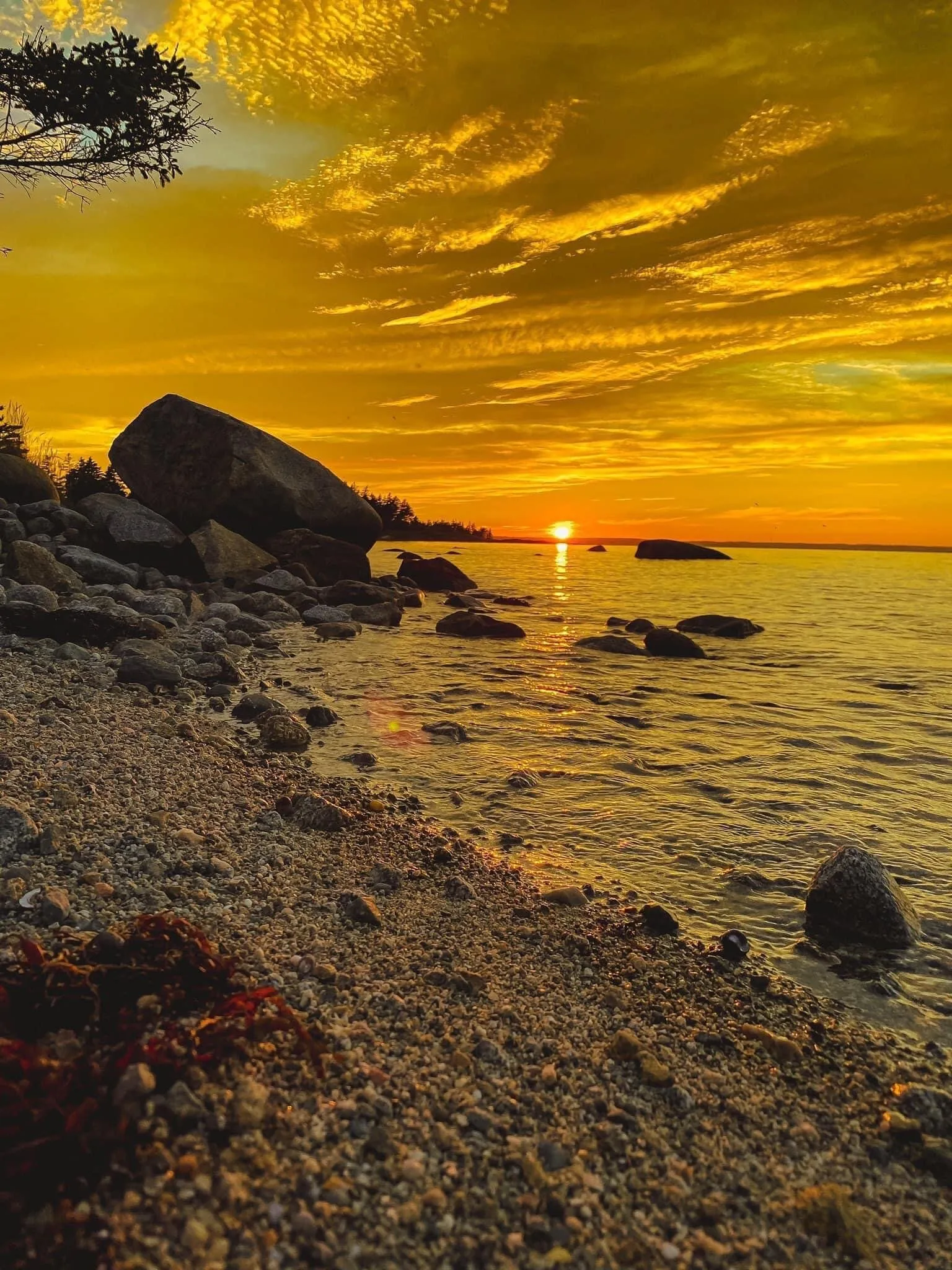 Golden sun