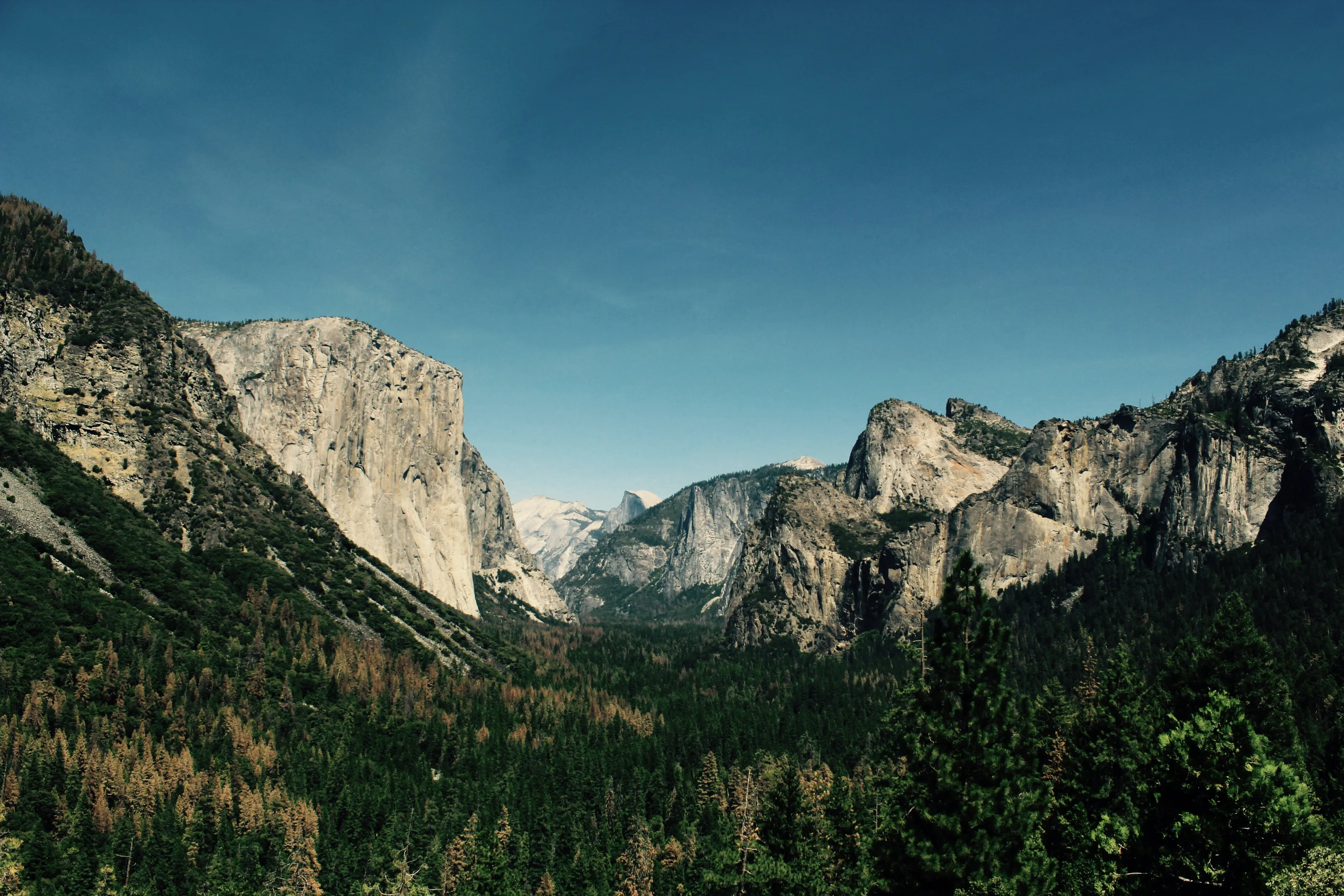 Mountain Magic