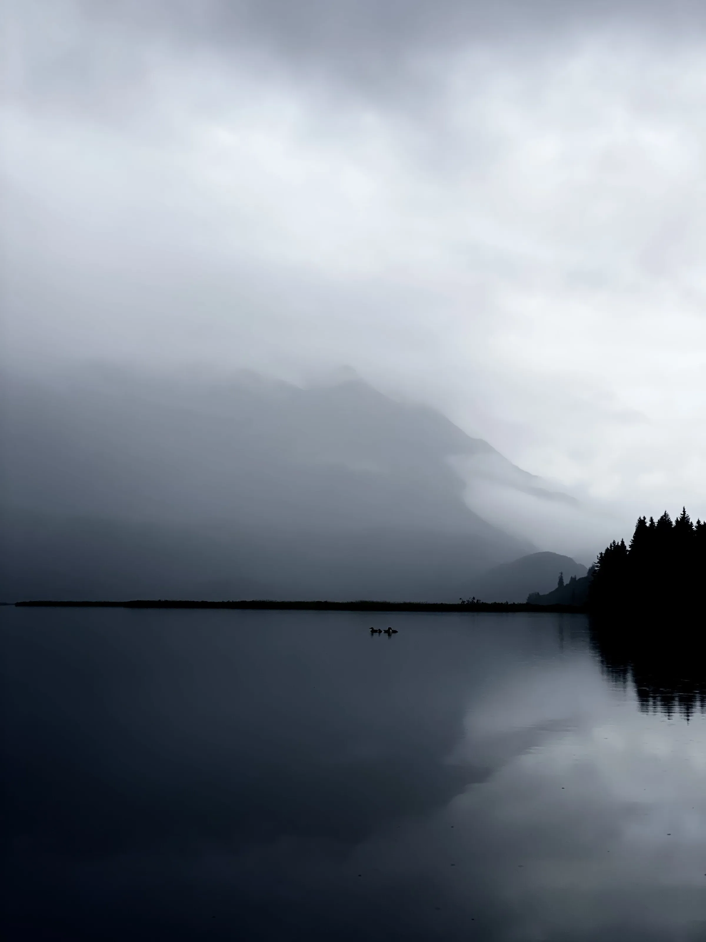 Valdez