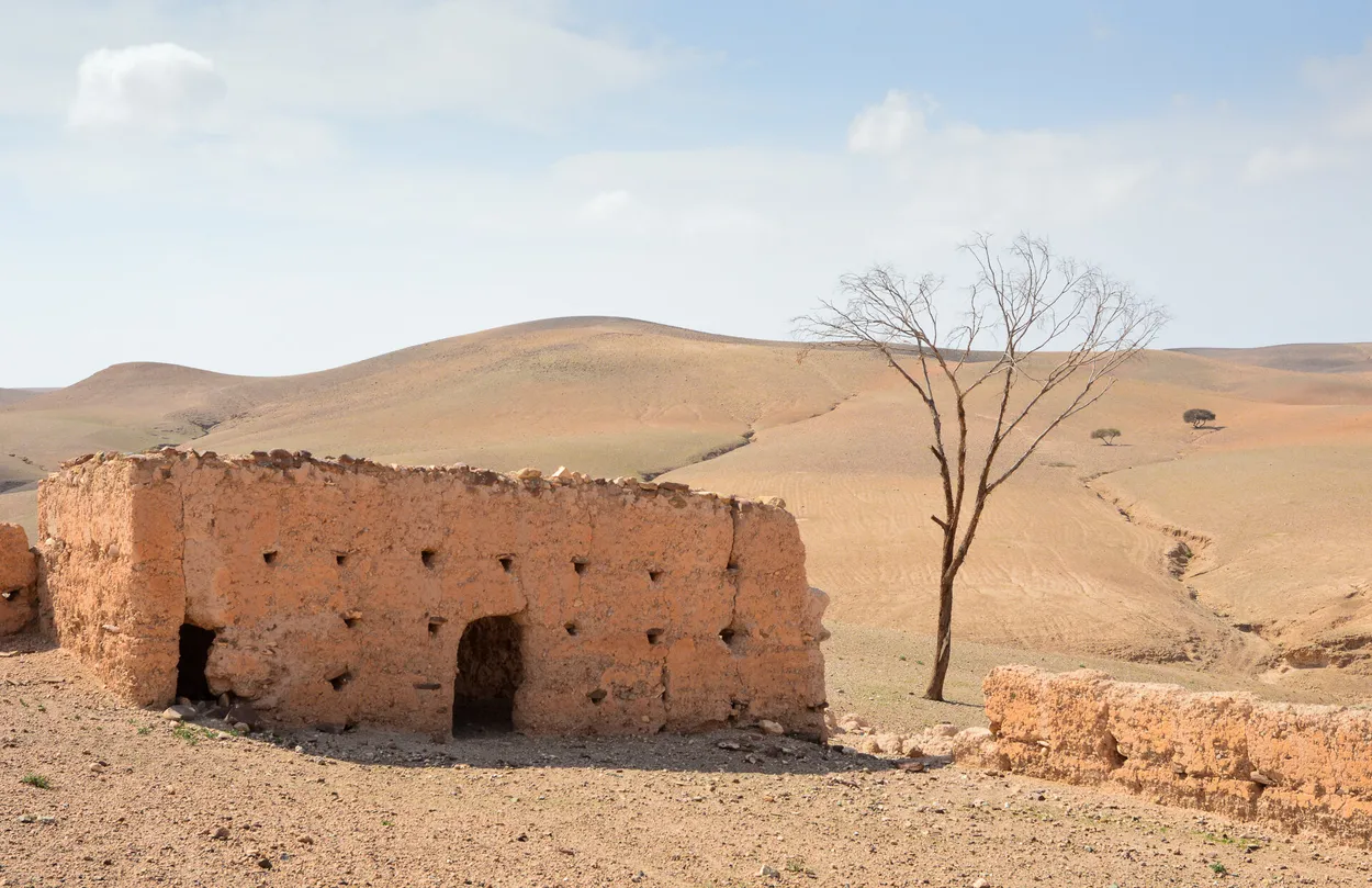 Entry 770519